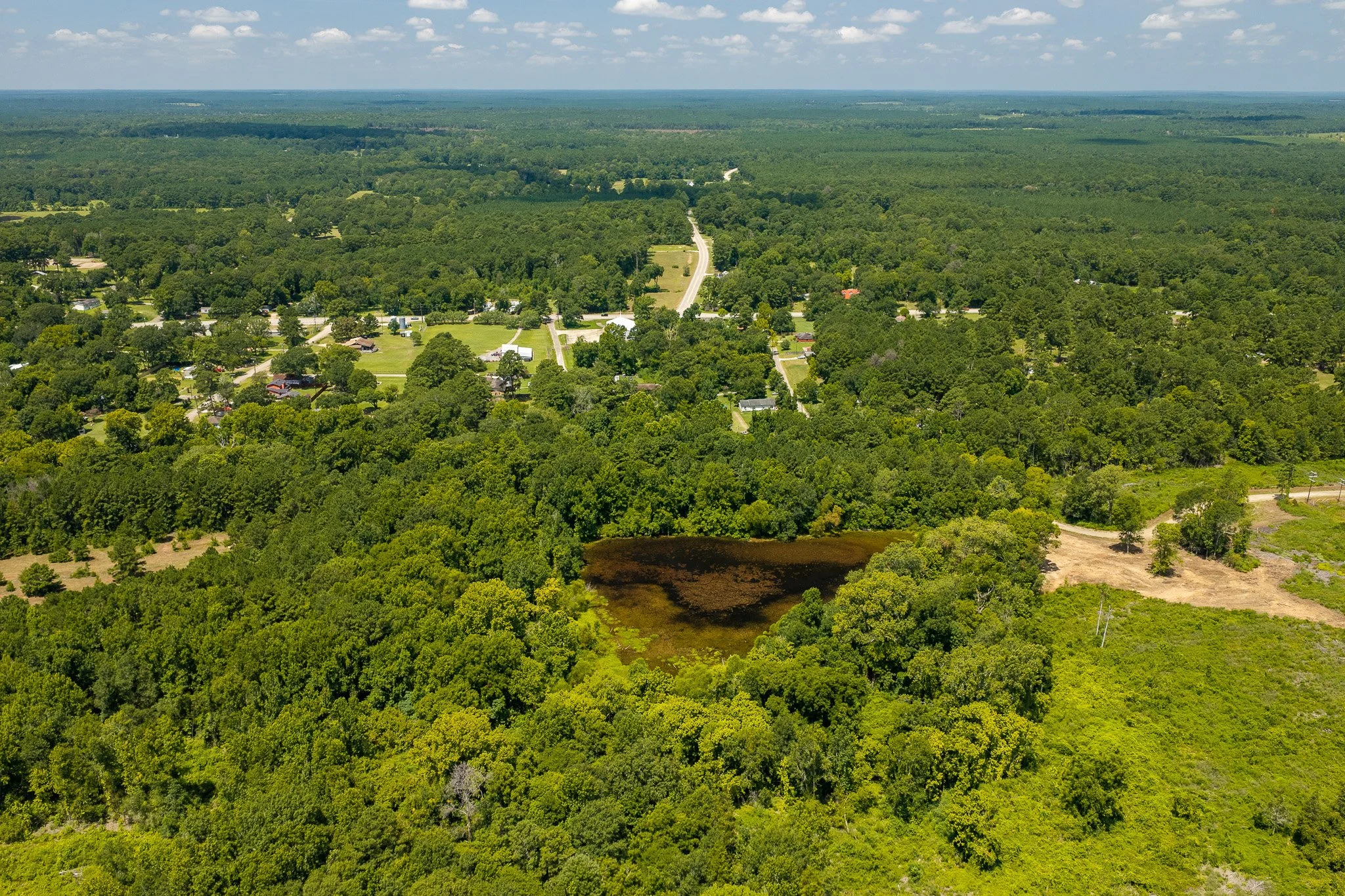 woodville-5.jpg