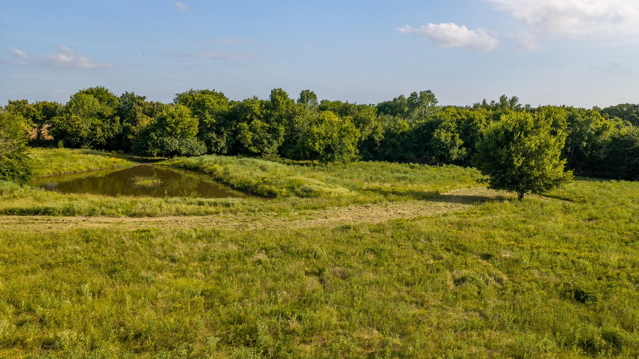 landscape-aerial-summerdale--30.jpg