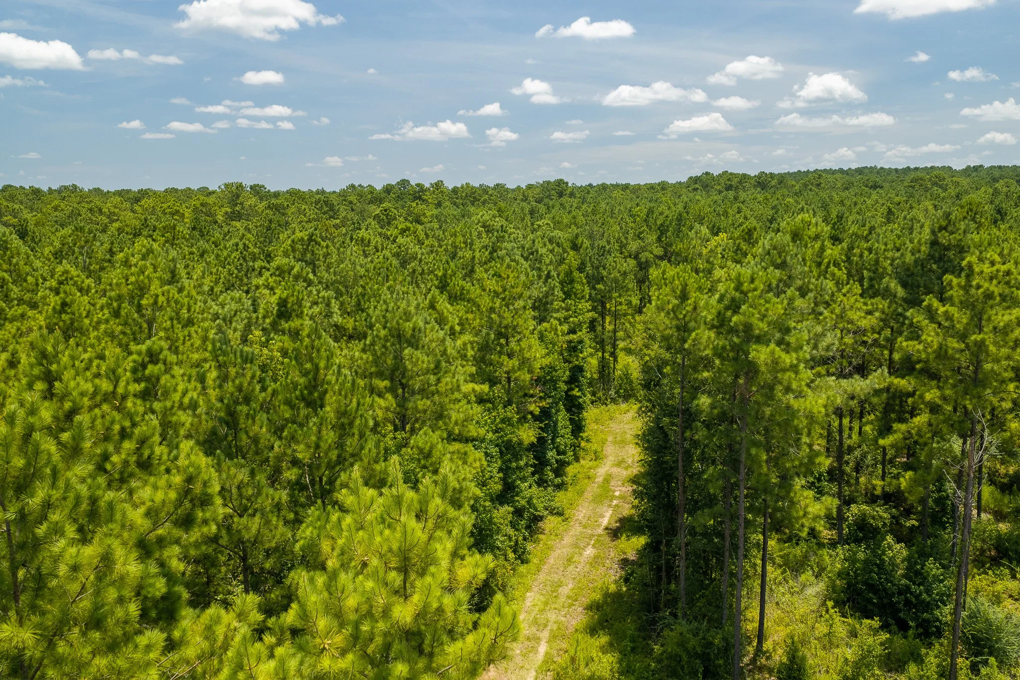 woodville-32.jpg