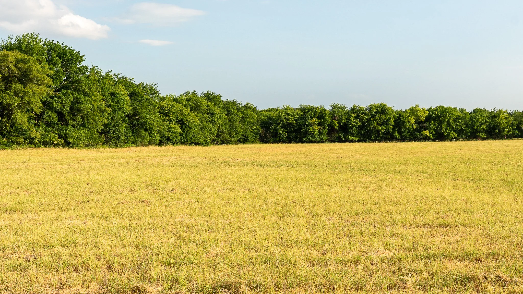 landscape-ground-summerdale-03070.jpg