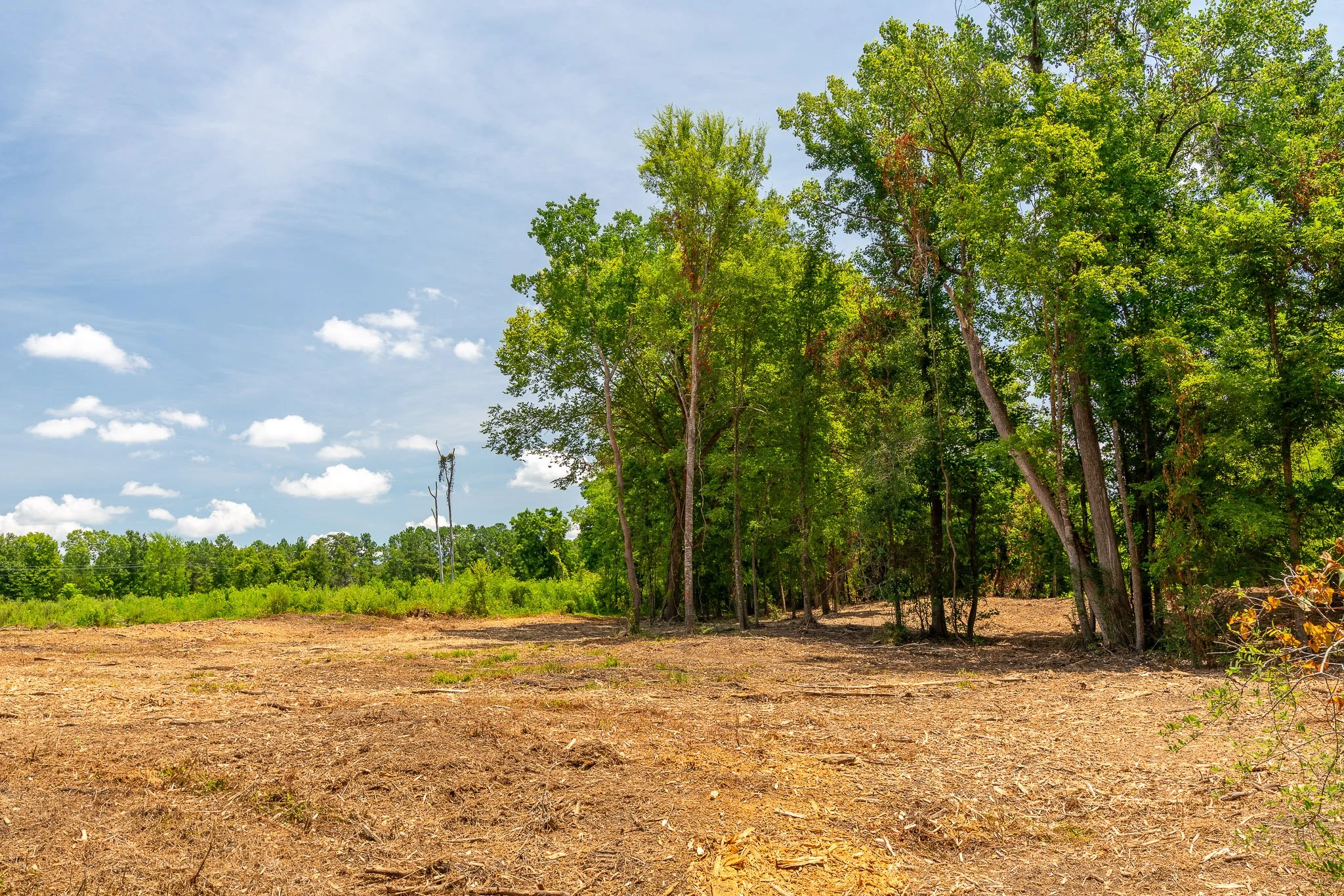woodville-92.jpg