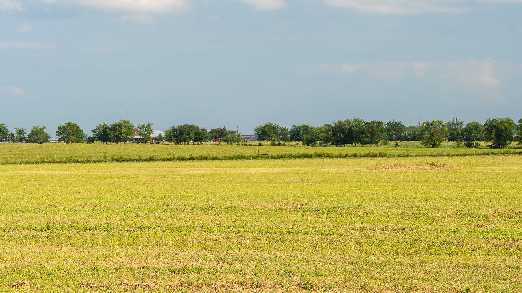 landscape-ground-summerdale-03028.jpg