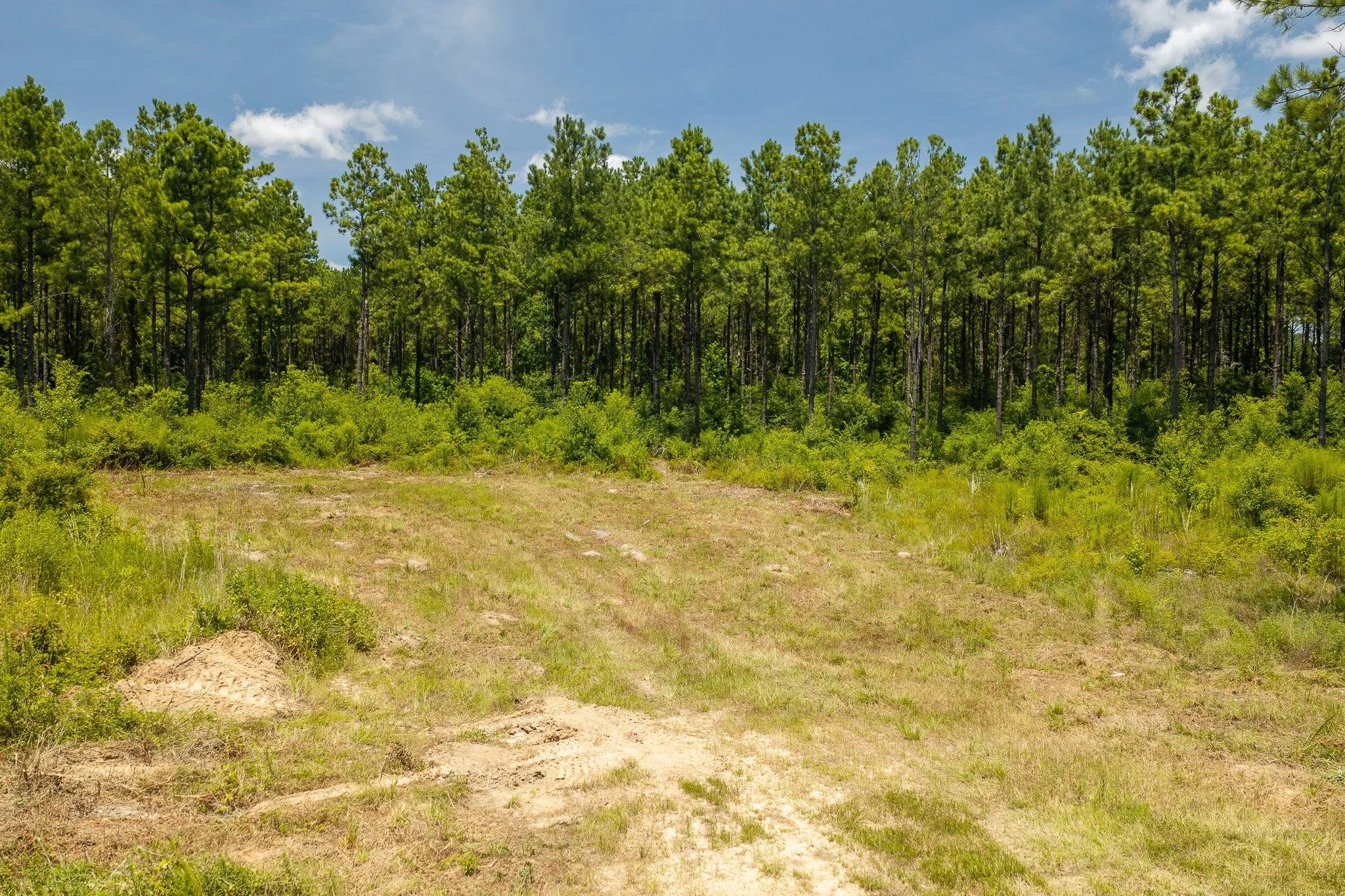 woodville-44.jpg