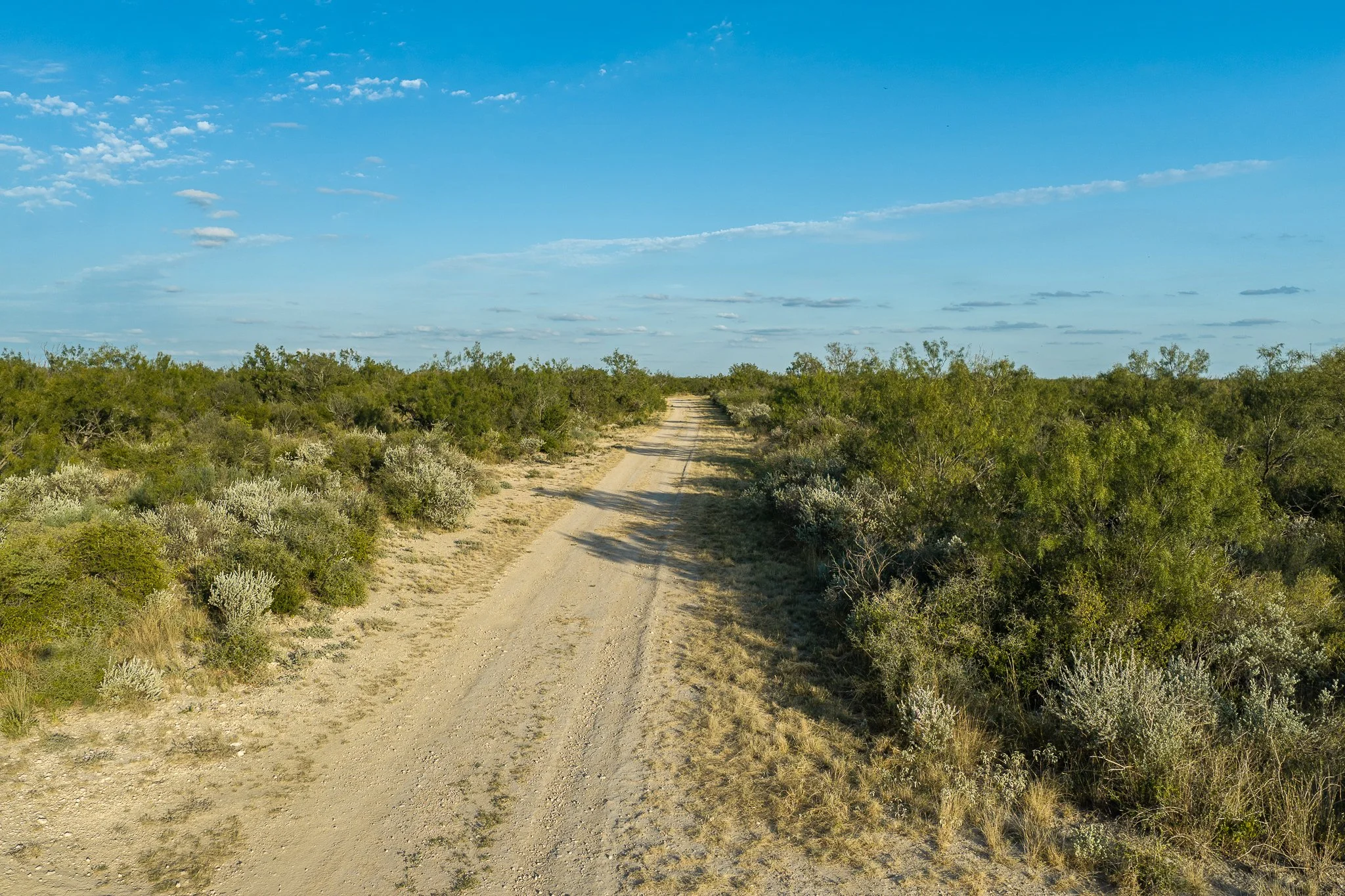 Blue_Rooster_Ranch-50.jpg