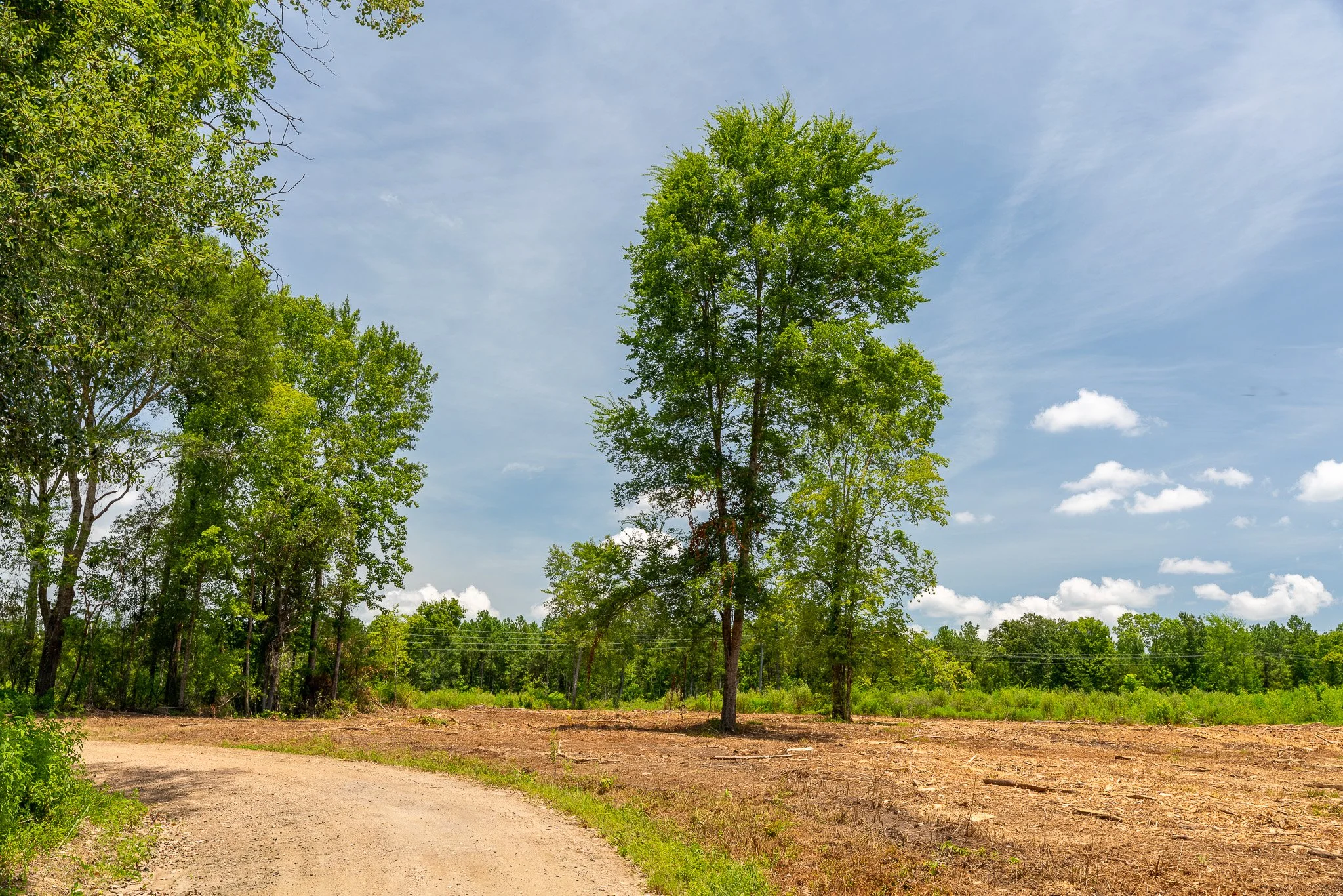 woodville-93.jpg