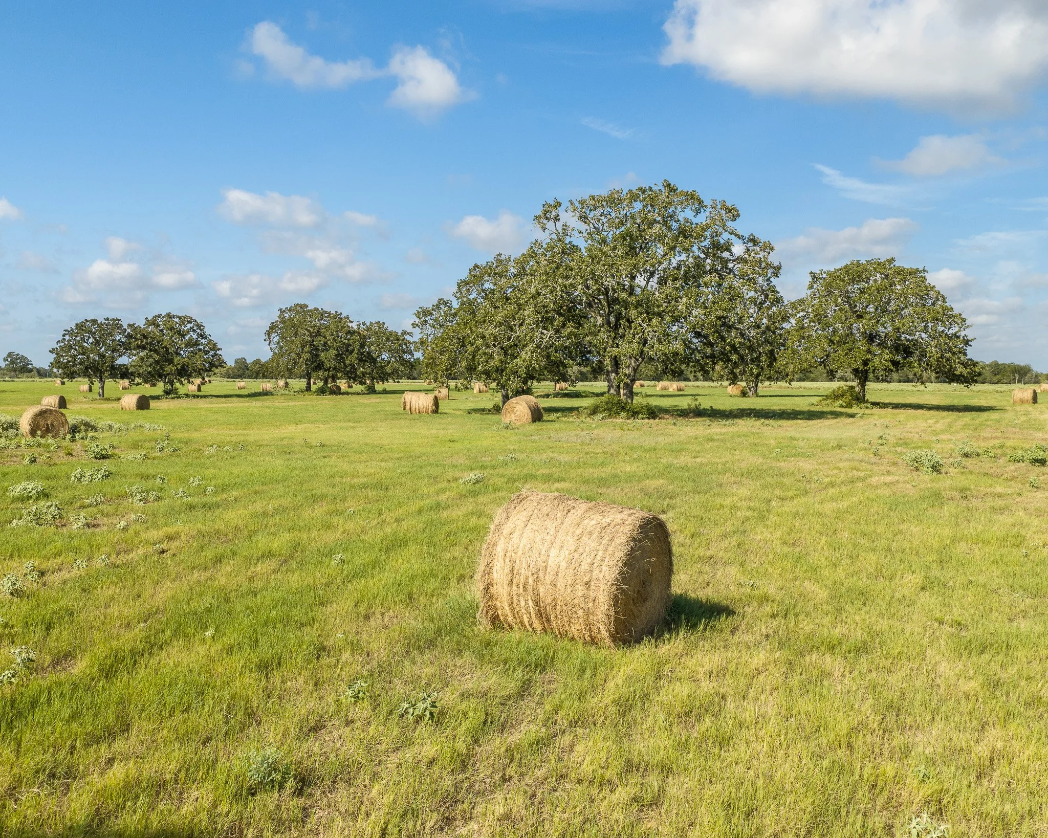 portrait-smithville-32.jpg