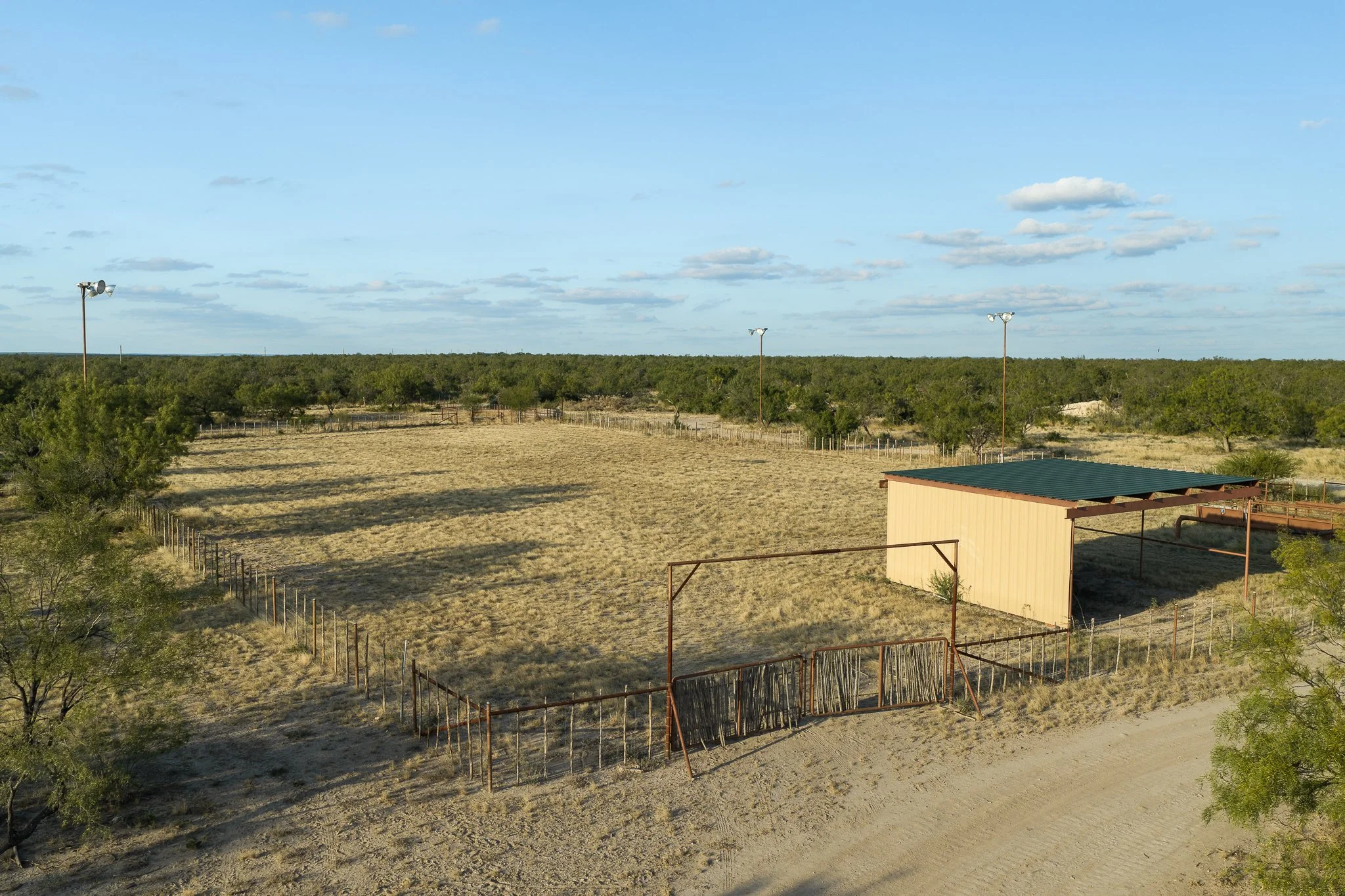 Blue_Rooster_Ranch-45.jpg