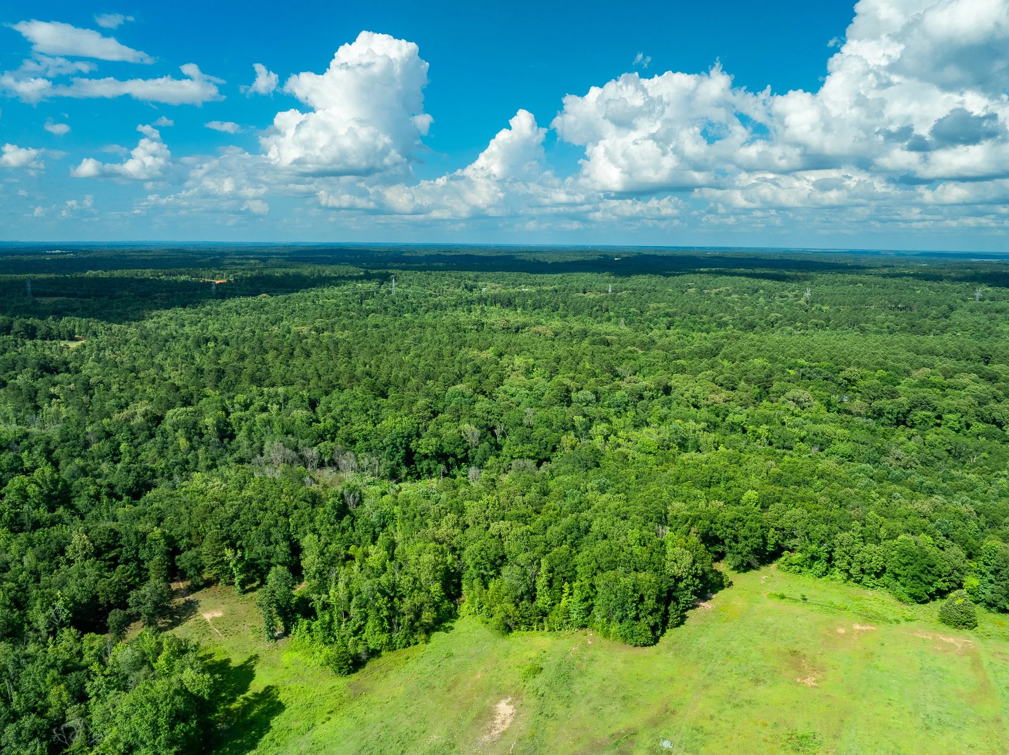 Tatum_Drone-5.jpg