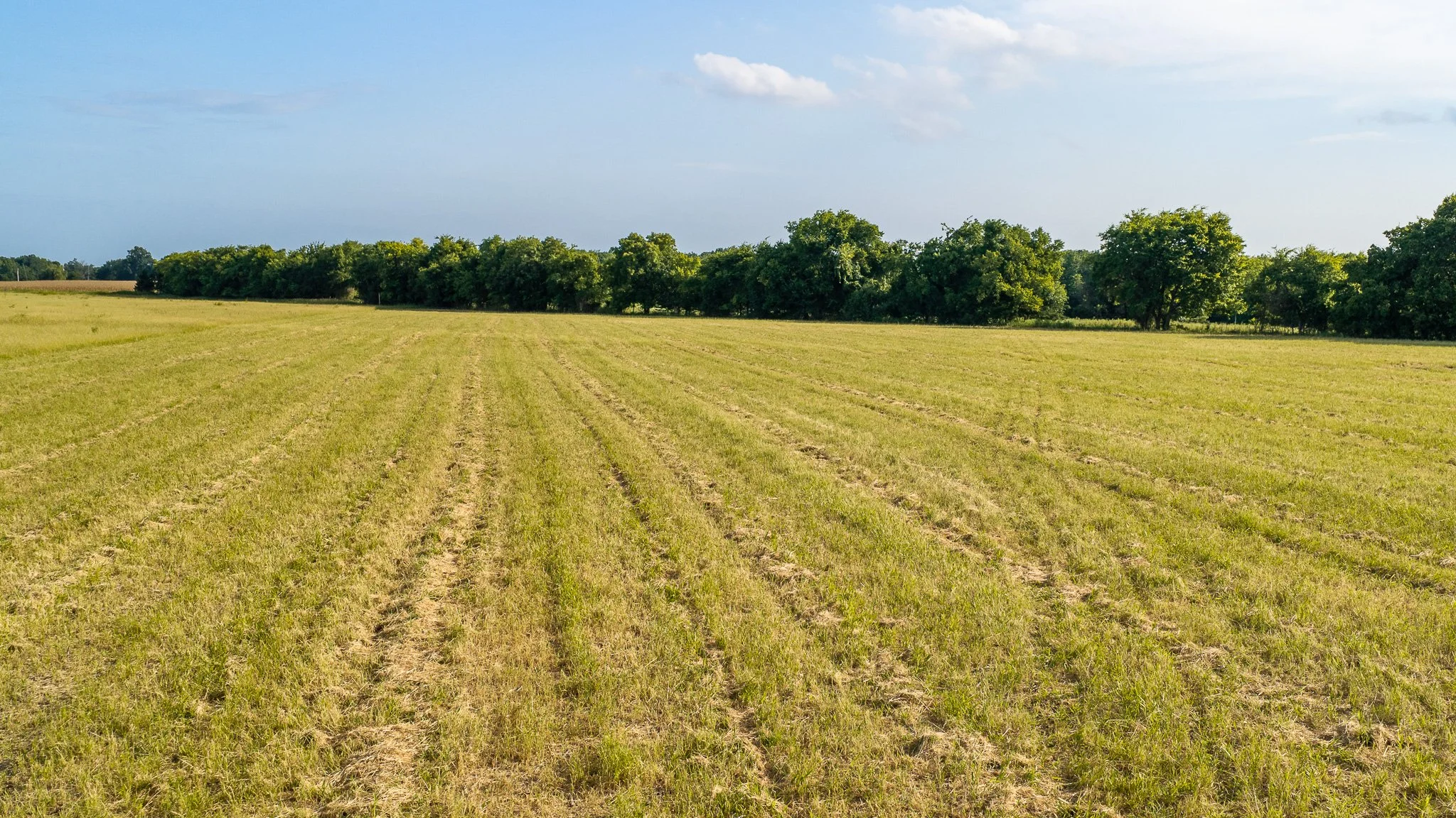 landscape-aerial-summerdale--25.jpg