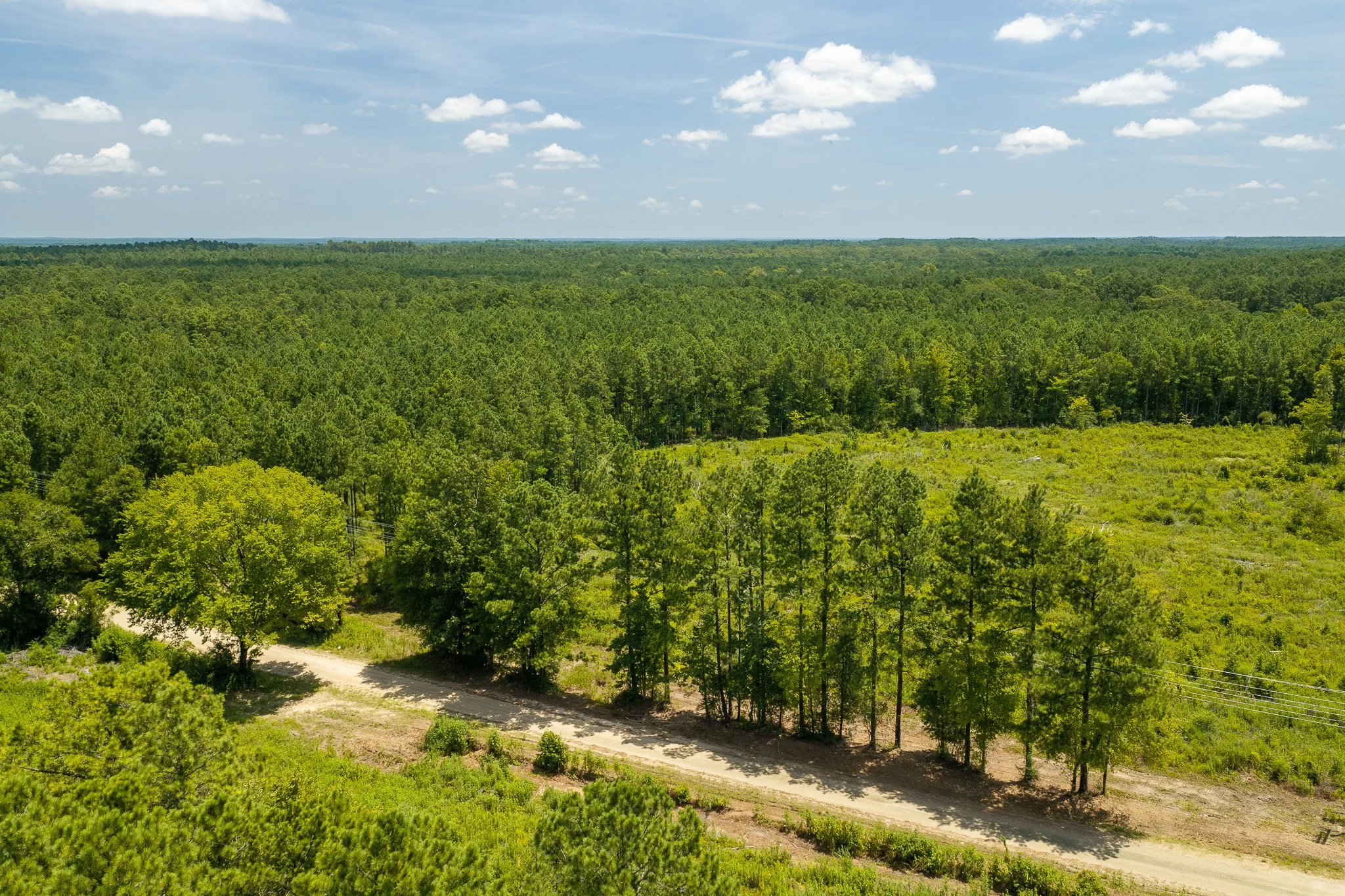 woodville-21.jpg