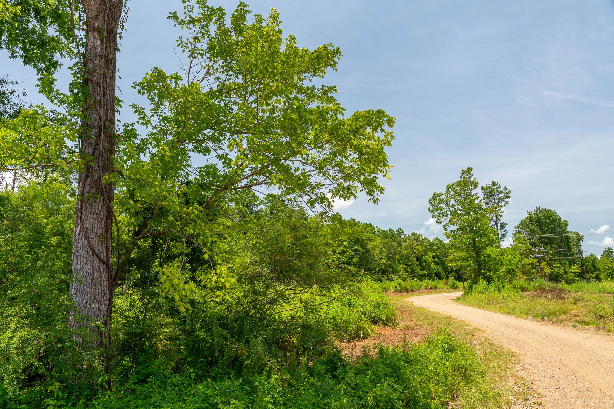 woodville-88.jpg