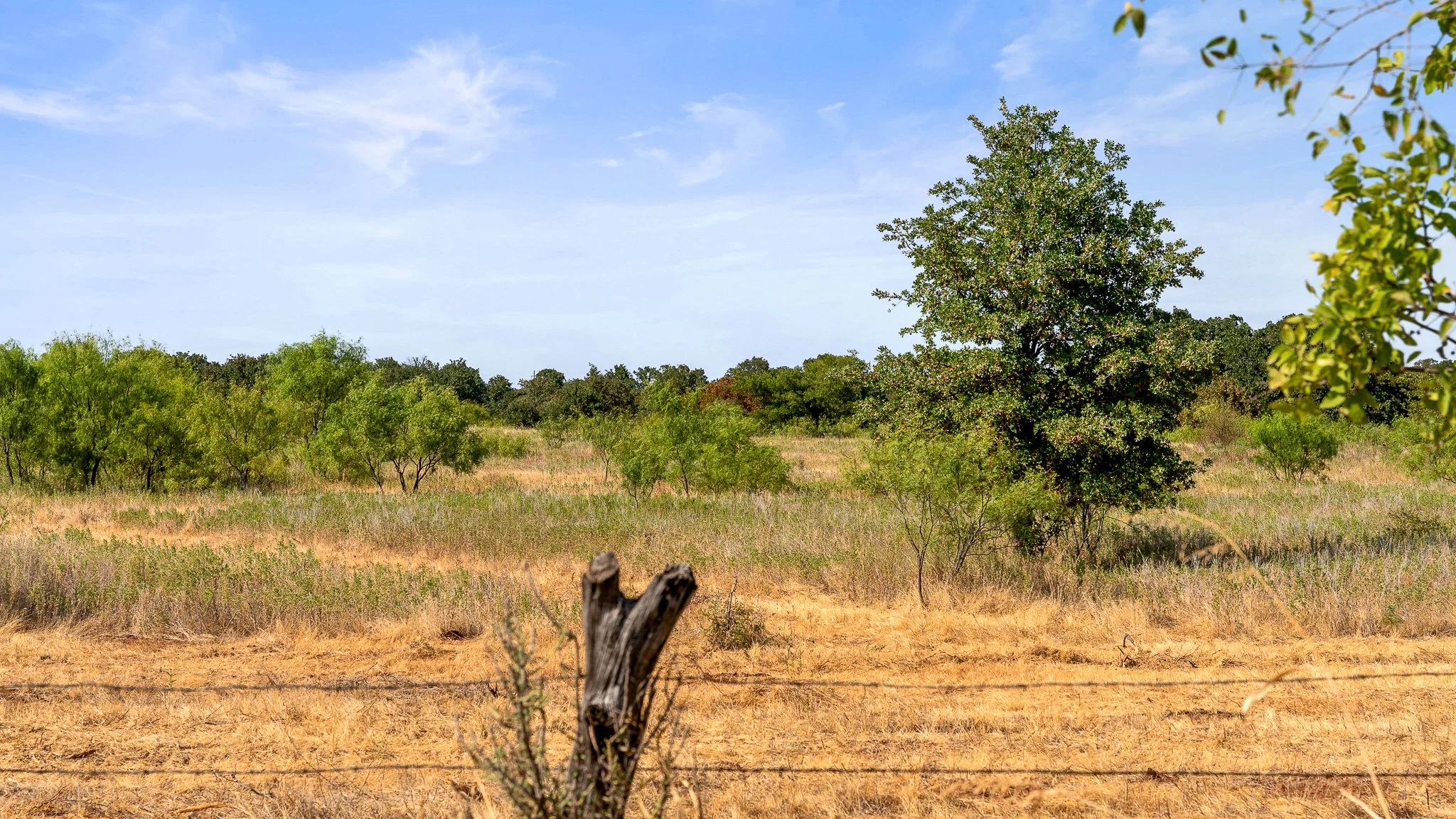 DSC09990-Landscape.jpg