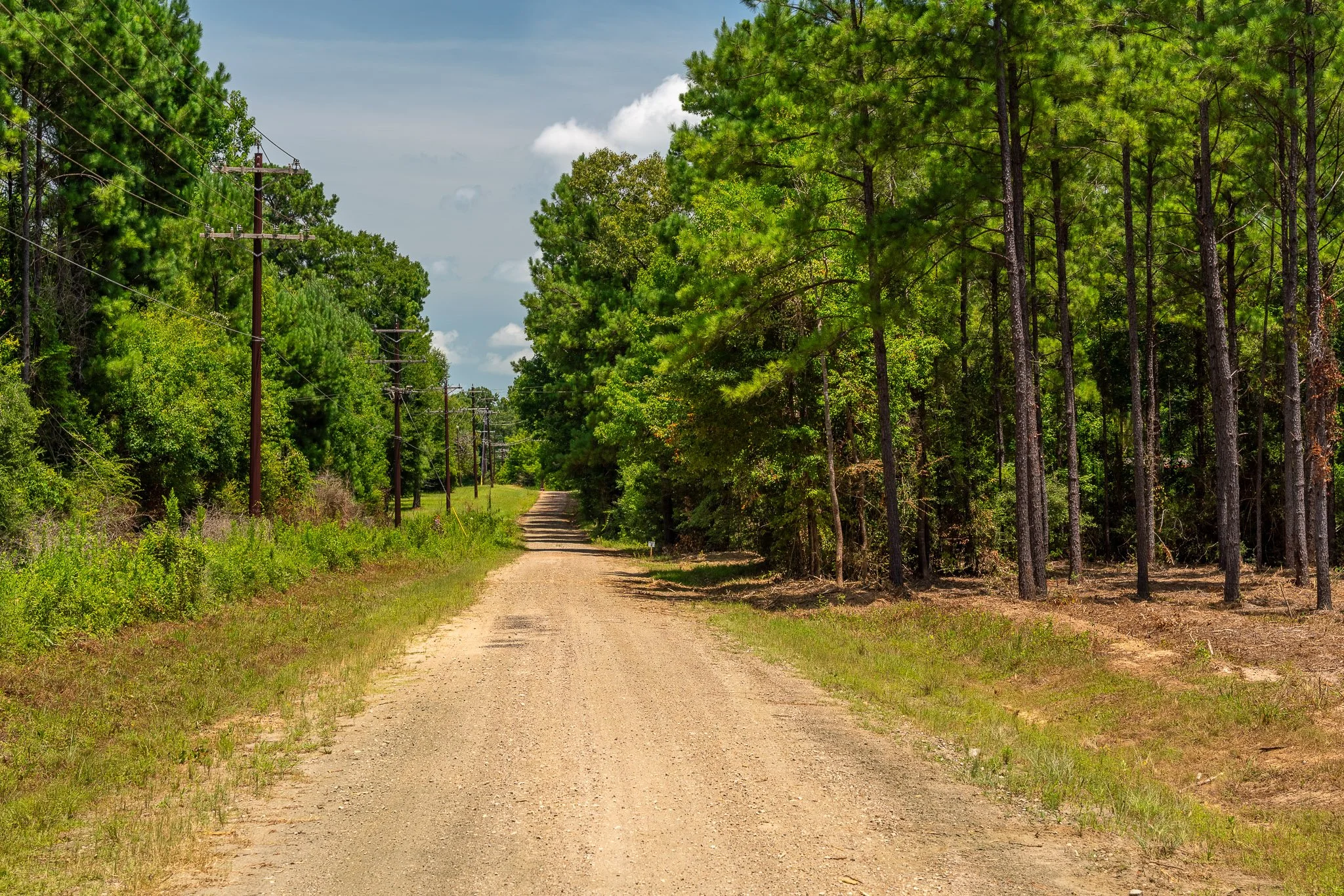 woodville-58.jpg