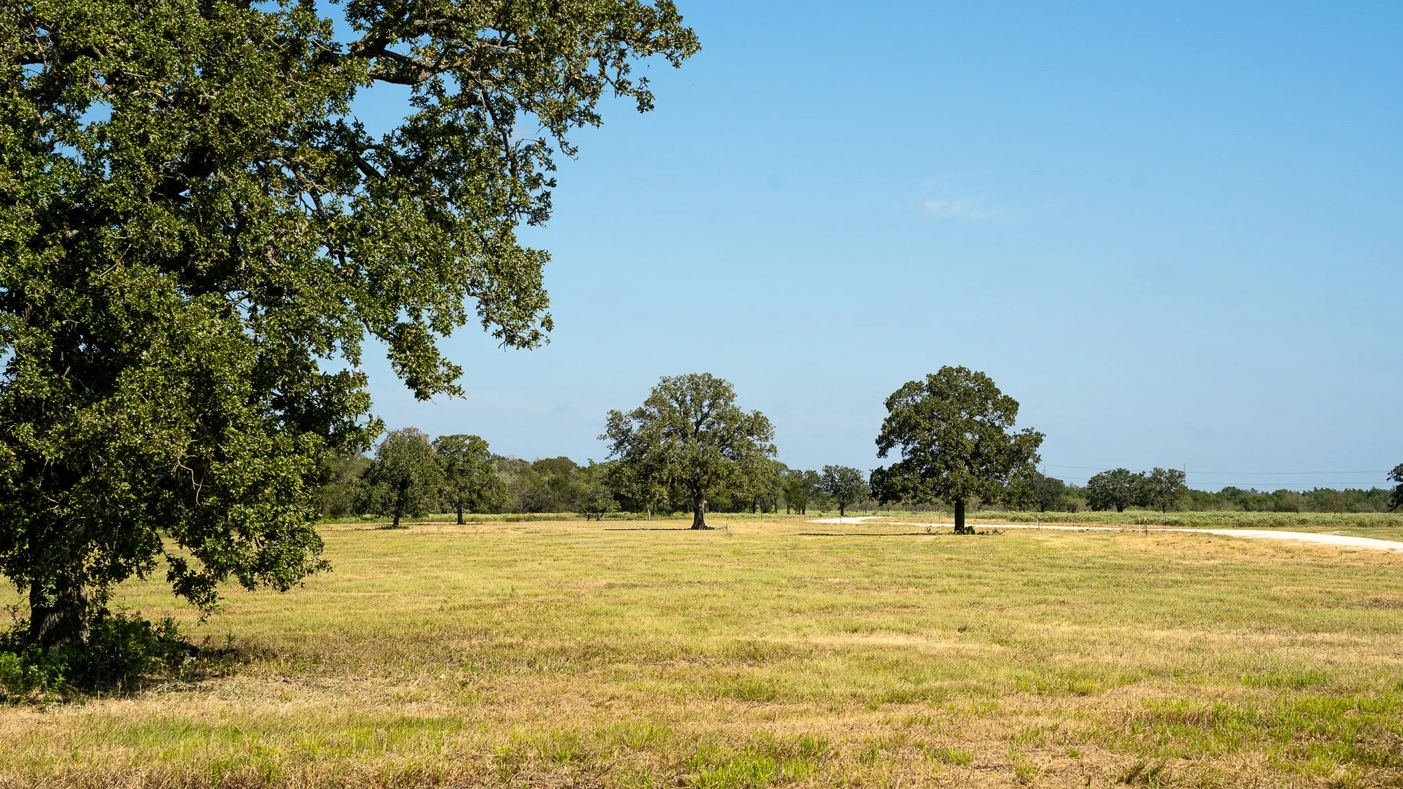 landscape-smithville-37.jpg