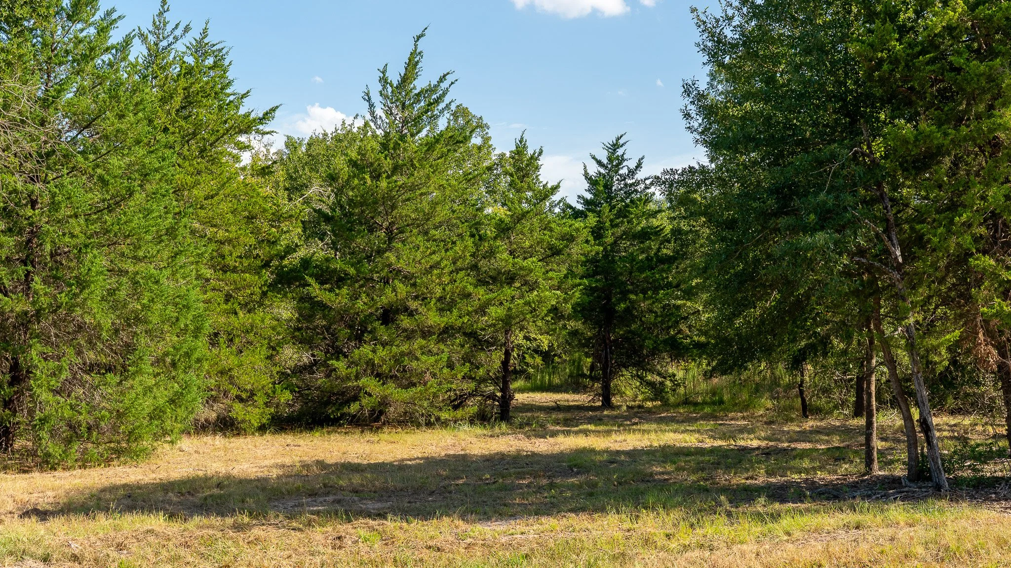 landscape-crestwood-48.jpg