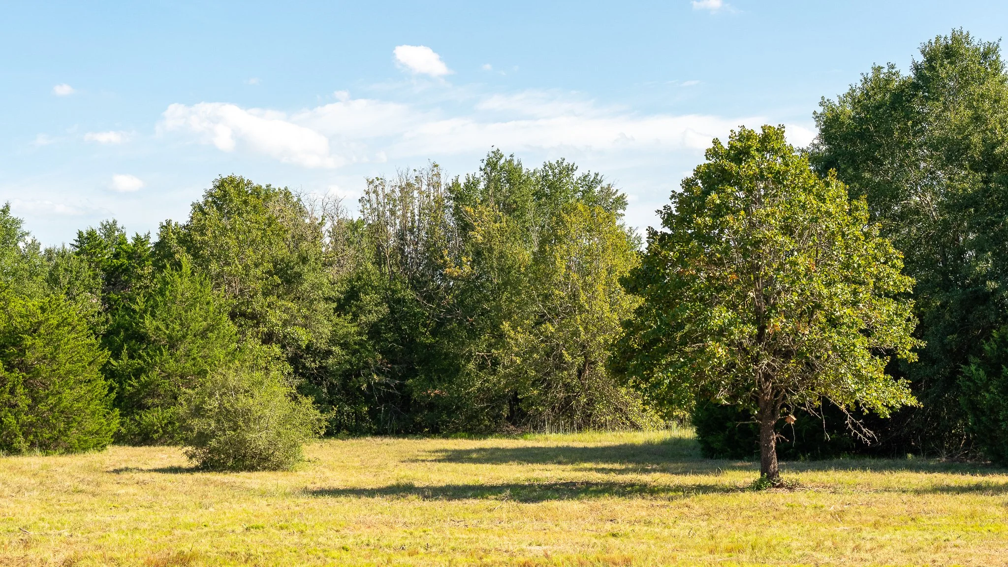 landscape-crestwood-53.jpg