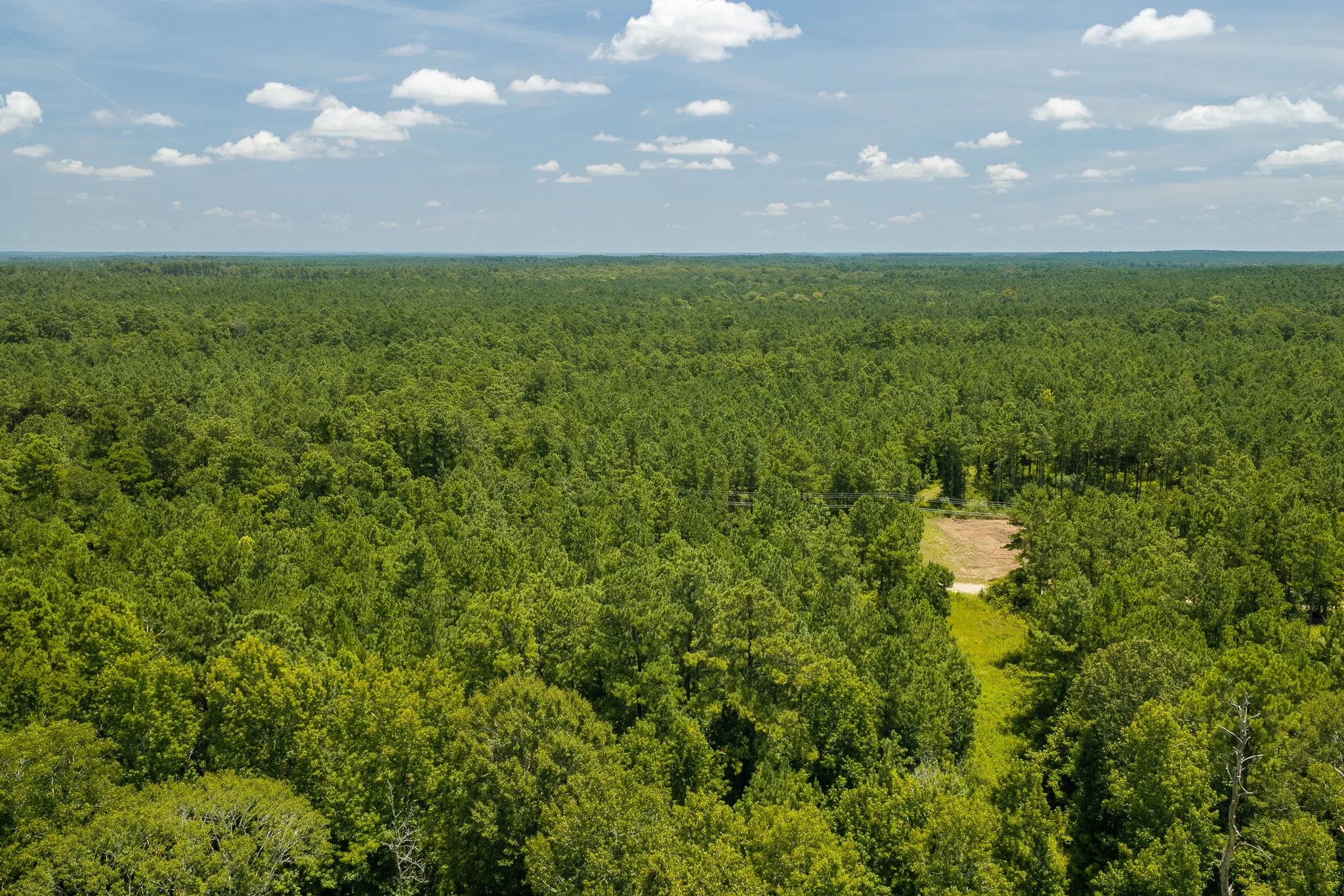 woodville-31.jpg