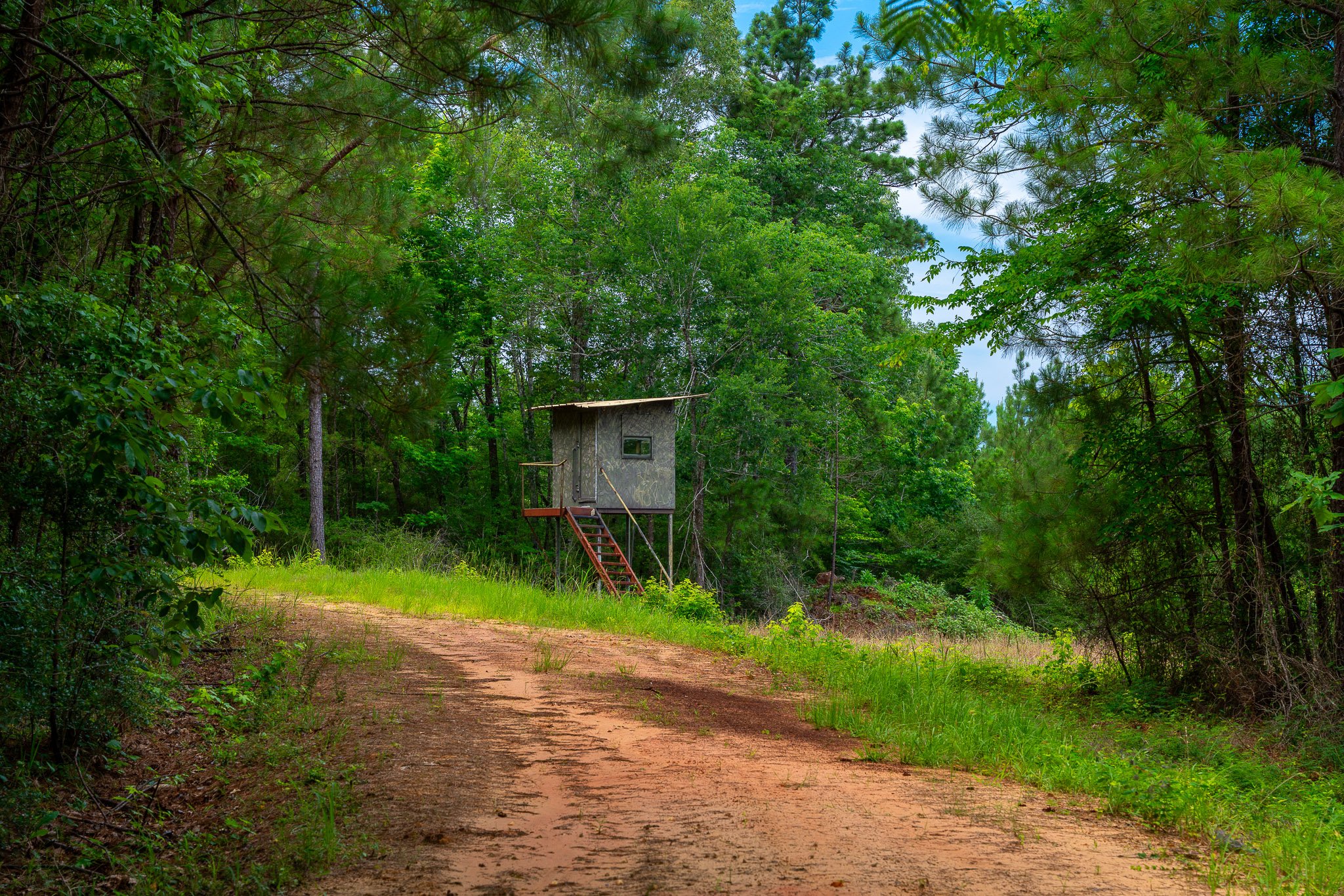 Sexton-Camera-3.jpg