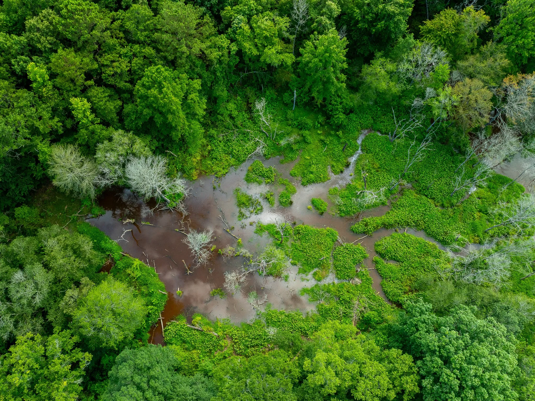 Tatum_Drone-2.jpg
