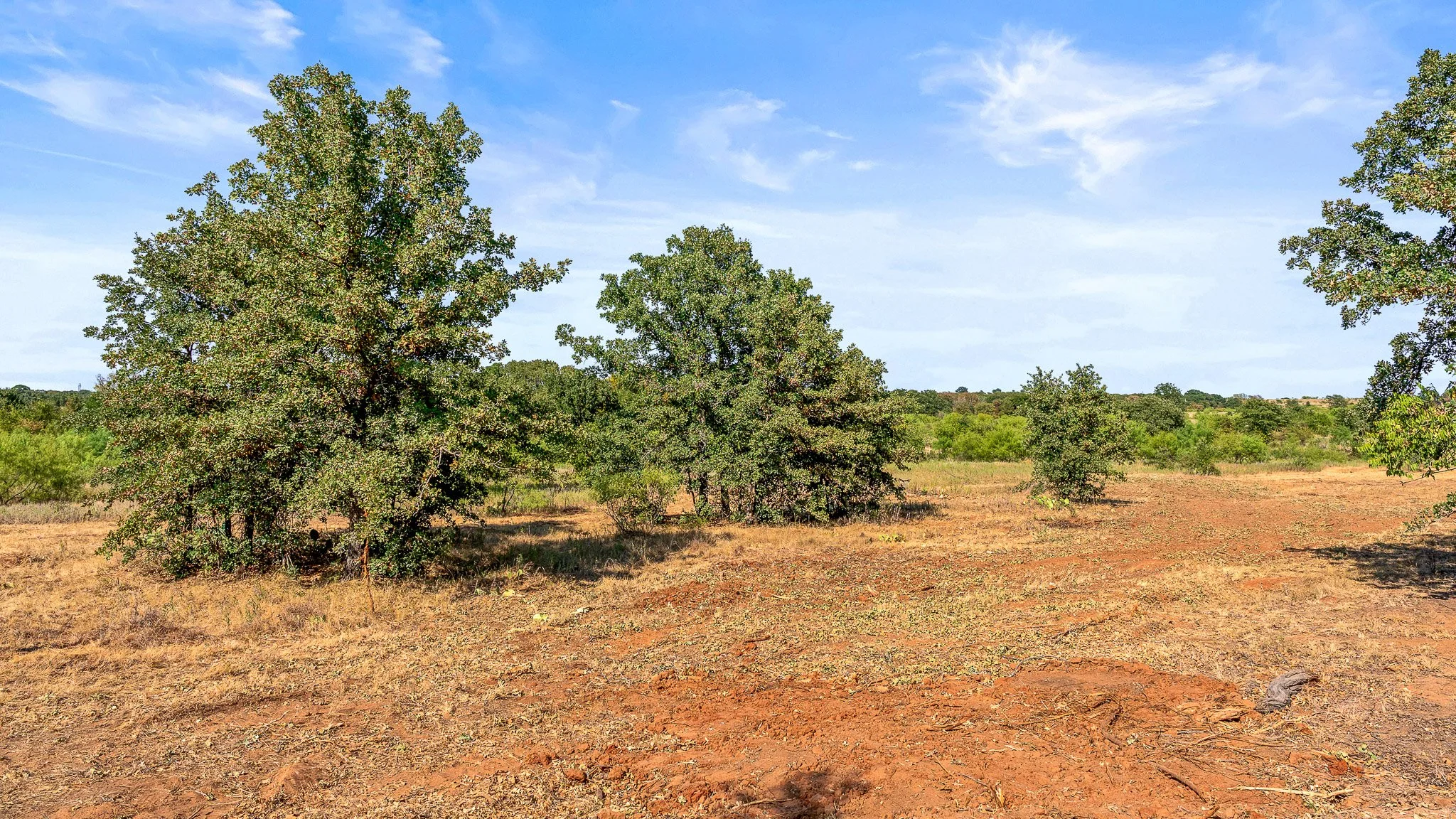 DSC09997-Landscape.jpg