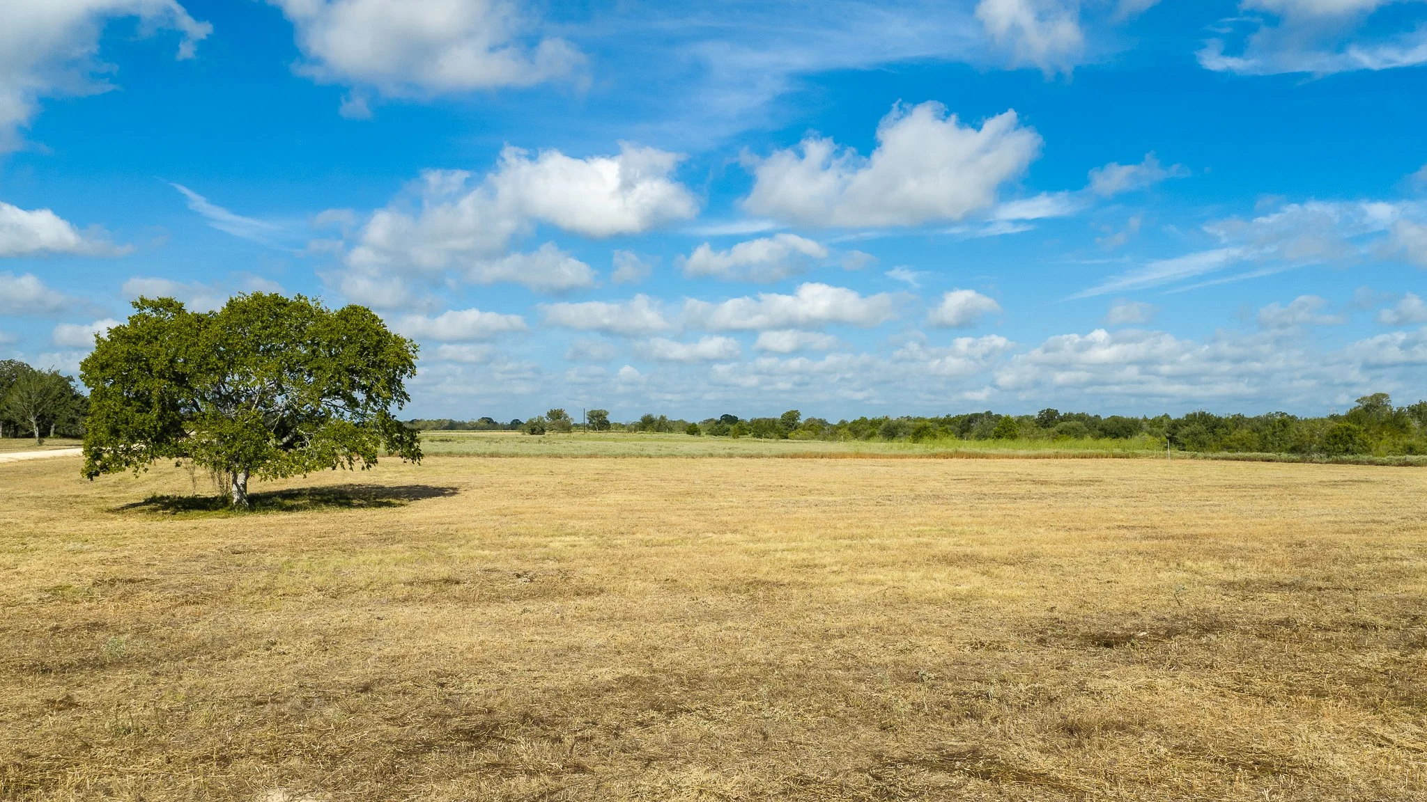 landscape-smithville-29.jpg