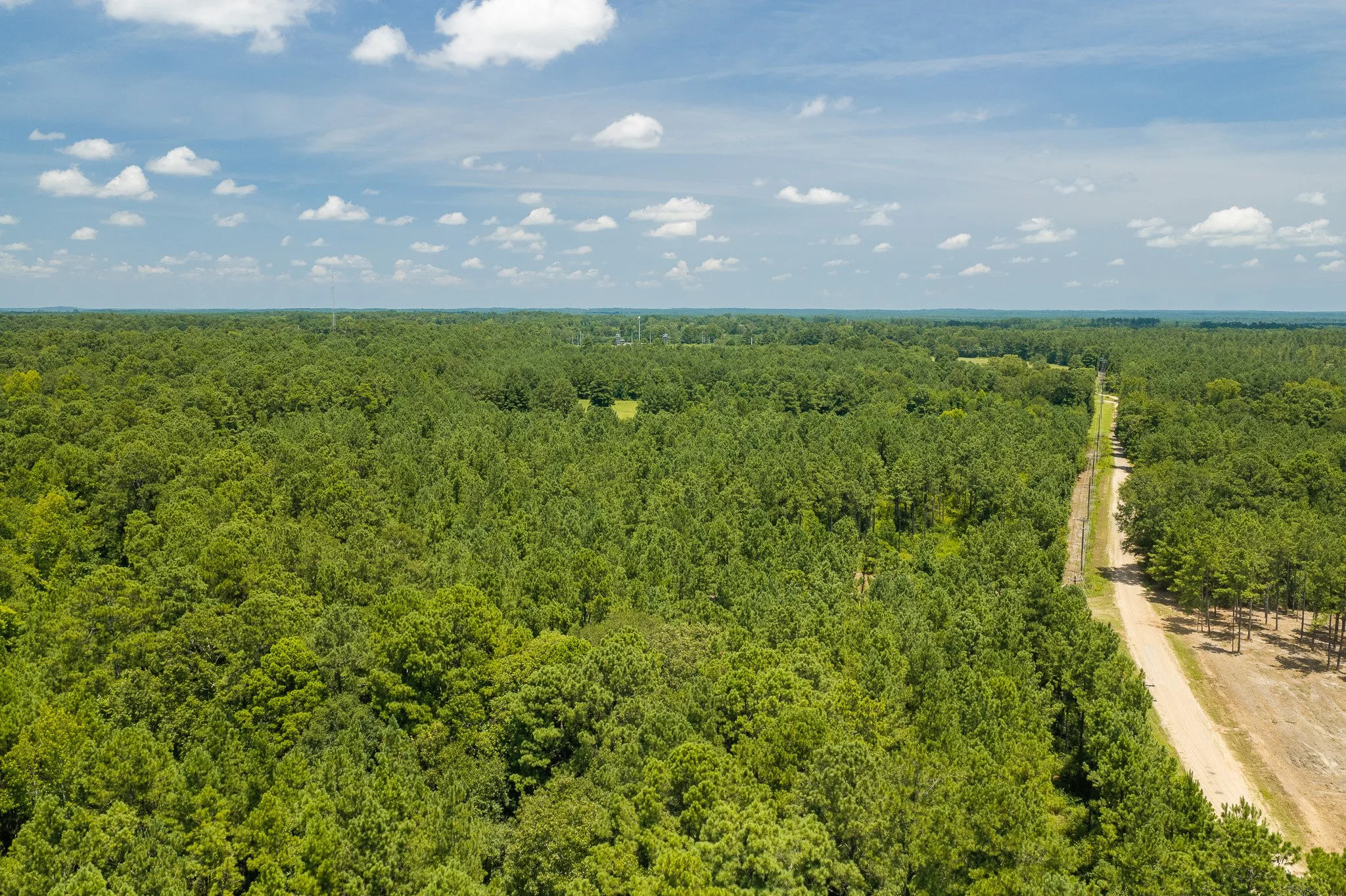 woodville-41.jpg
