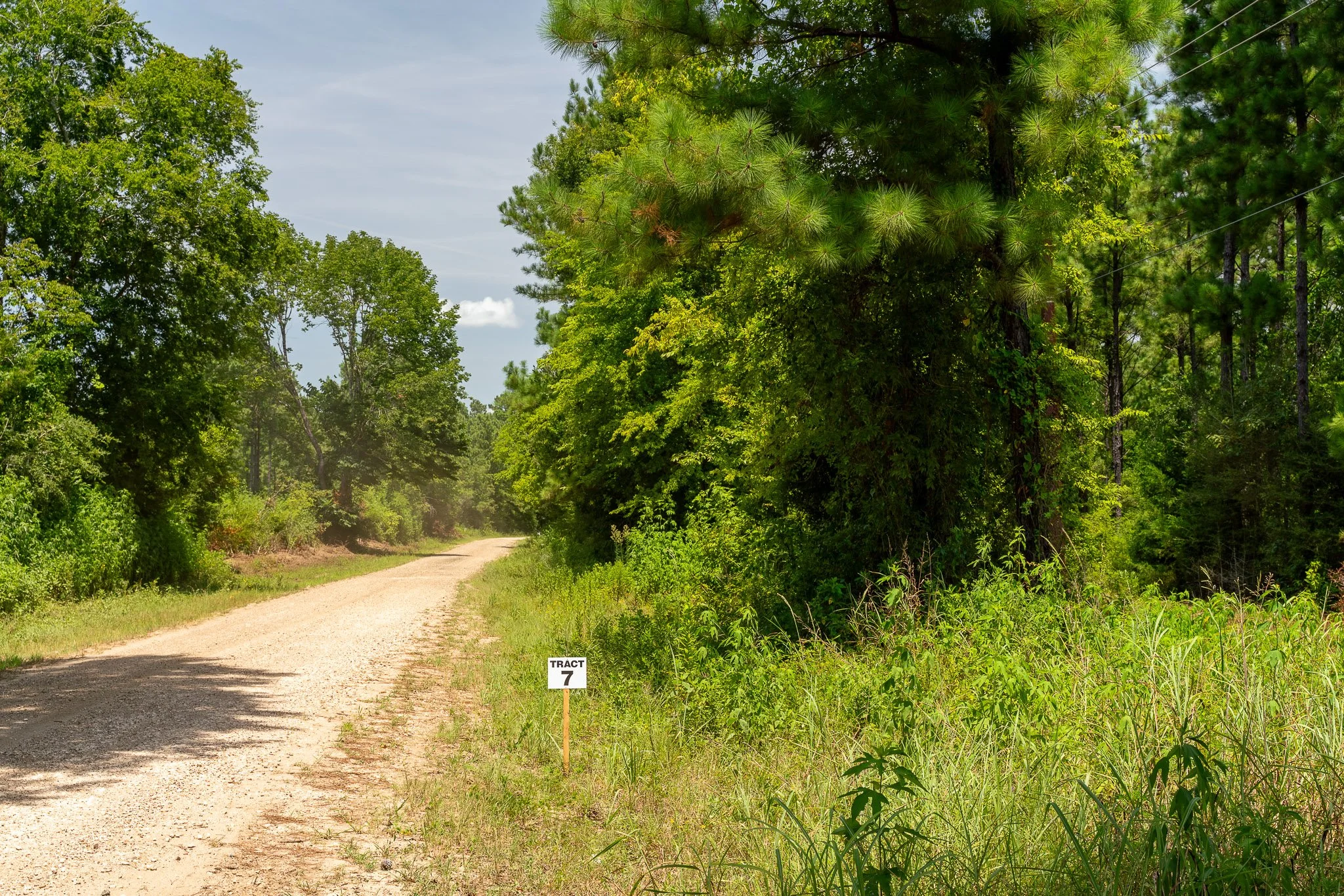 woodville-80.jpg