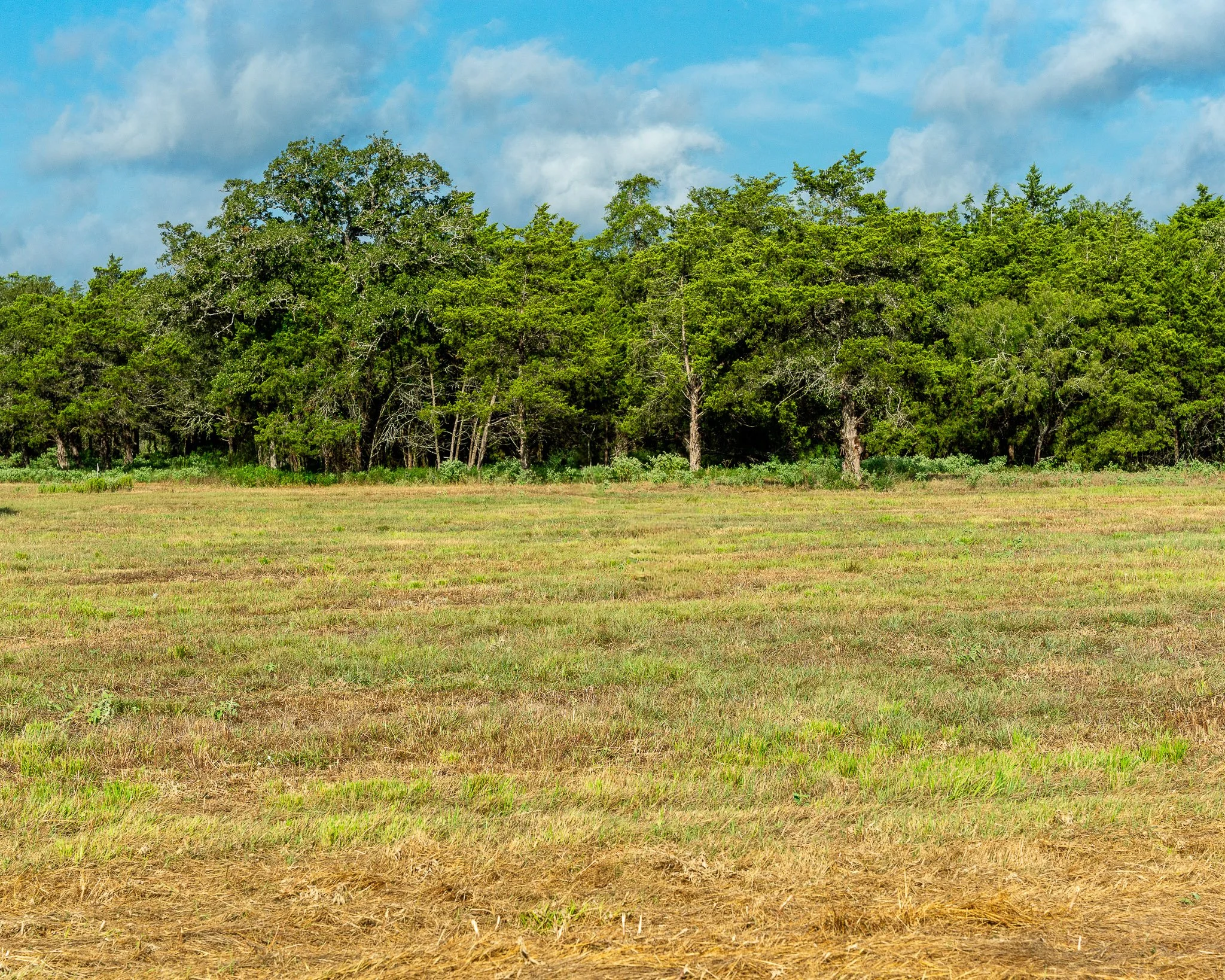 portrait-smithville-1.jpg
