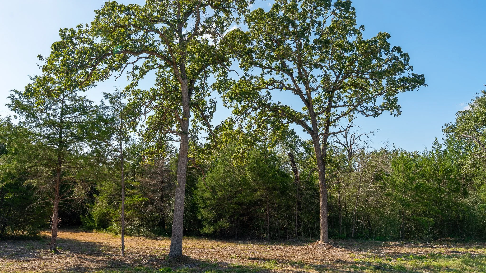 landscape-crestwood-74.jpg