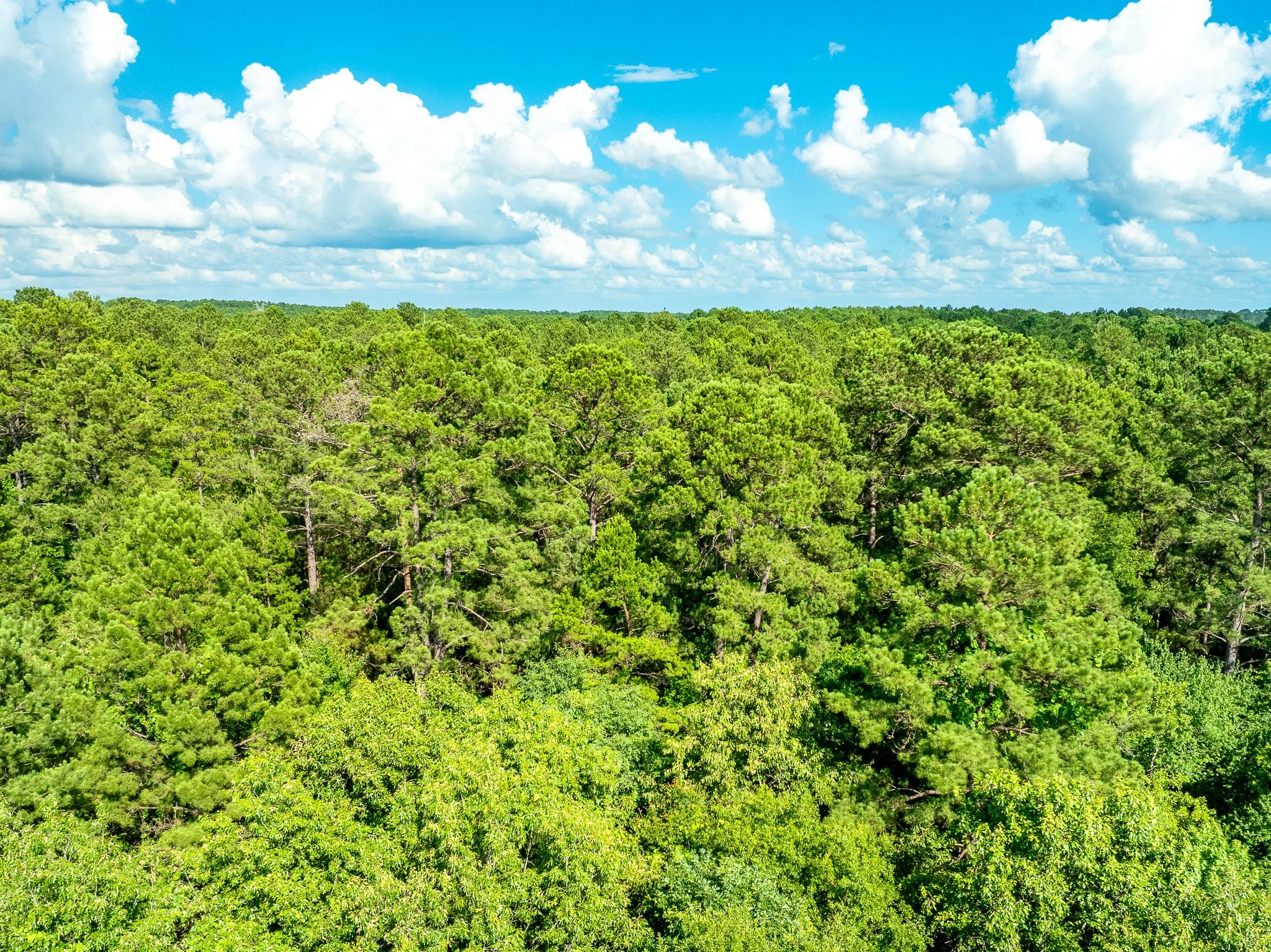 Tatum_Drone-15.jpg