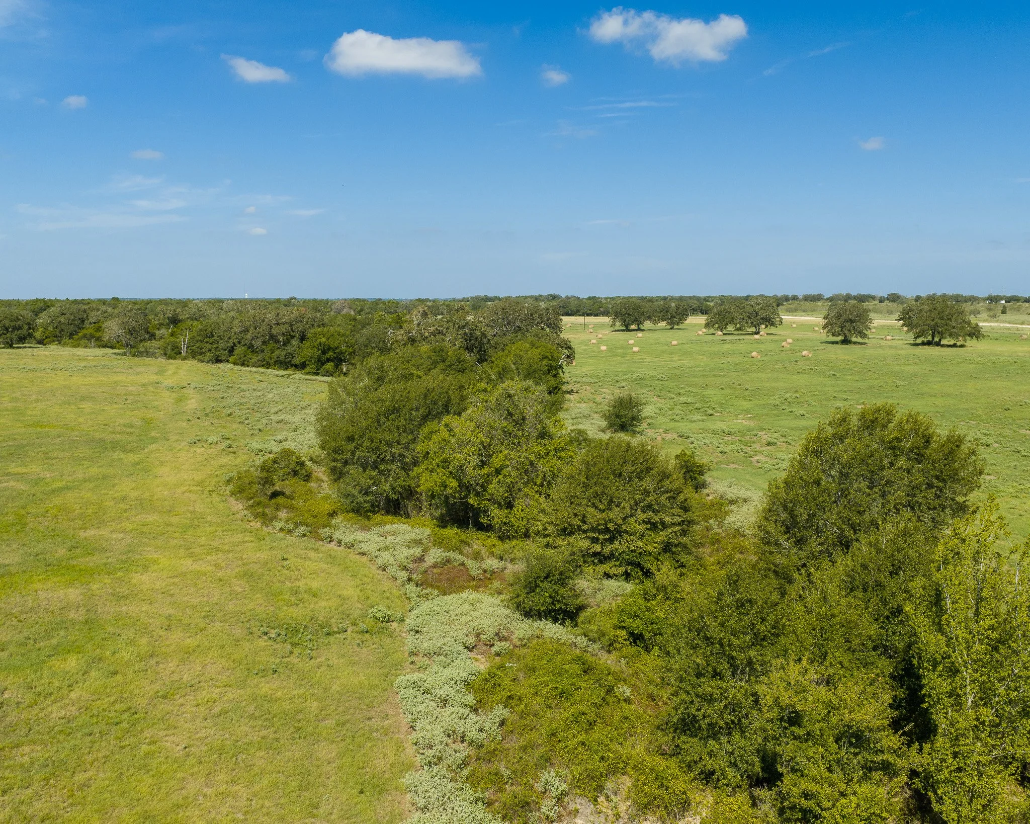 portrait-smithville-48.jpg
