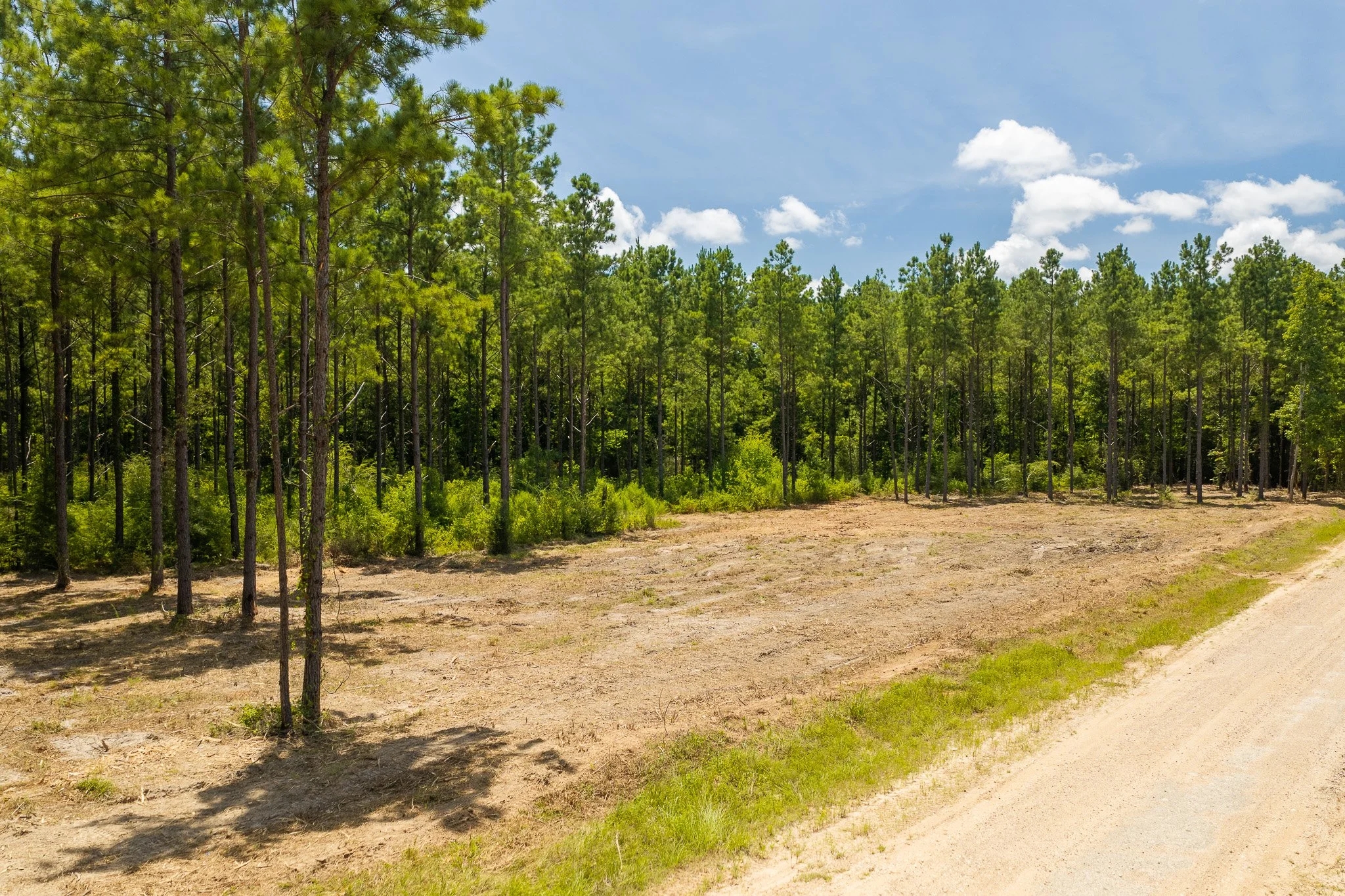 woodville-39.jpg