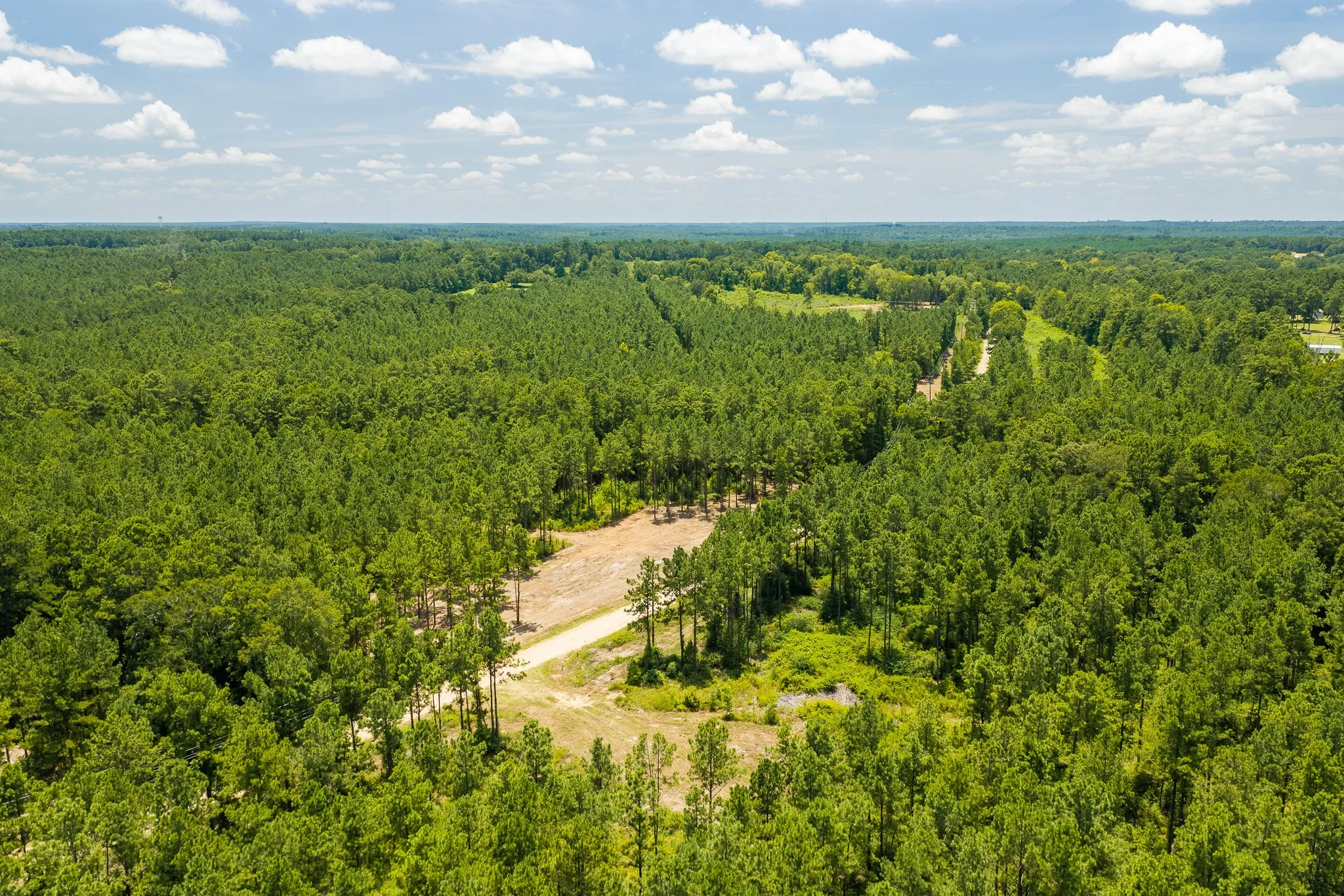 woodville-50.jpg