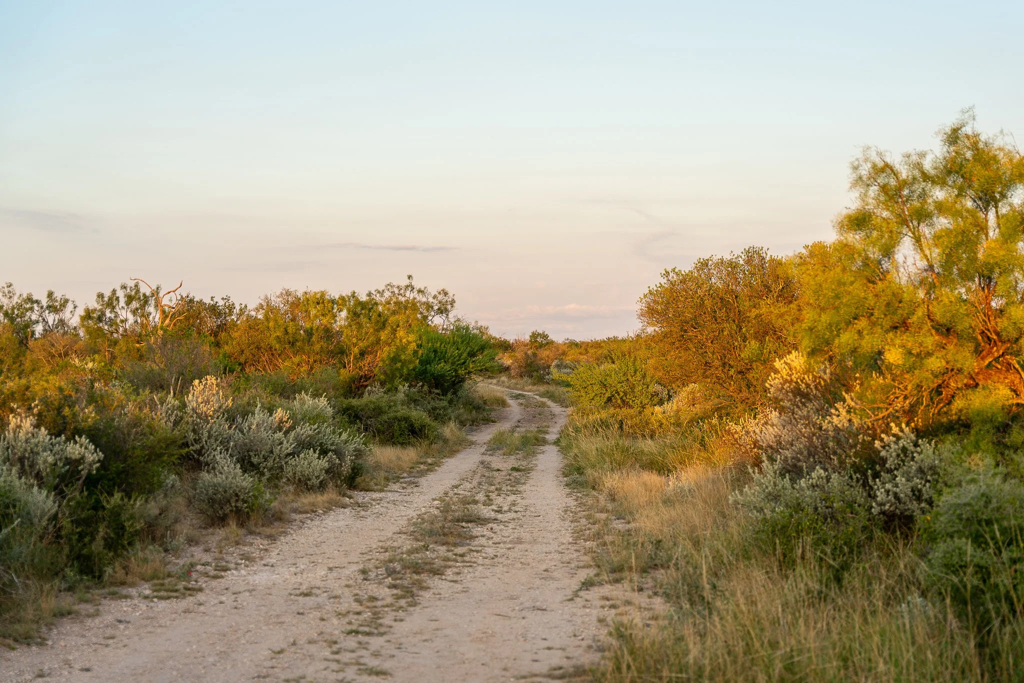 Blue_Rooster_Ranch-27.jpg