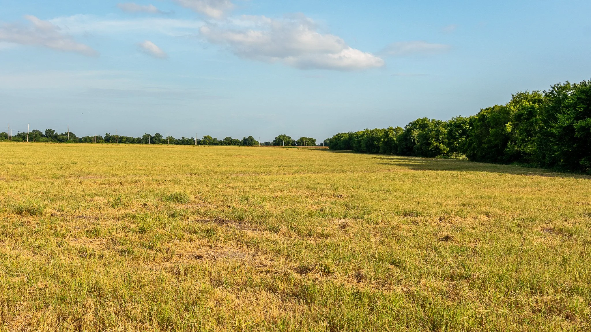 landscape-ground-summerdale--12.jpg