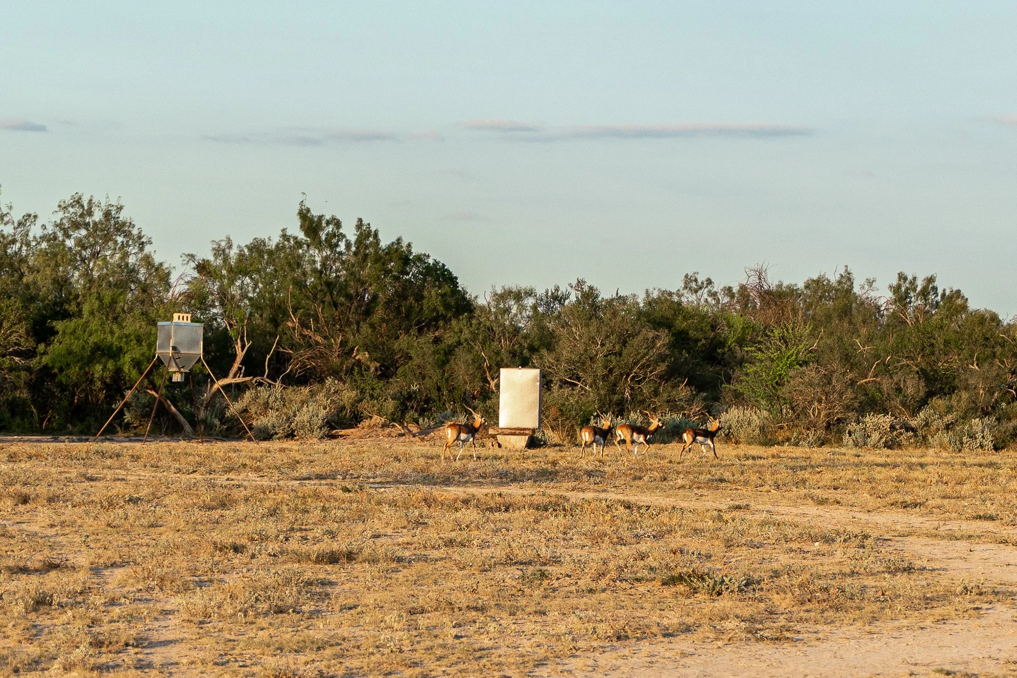 Blue_Rooster_Ranch-20.jpg