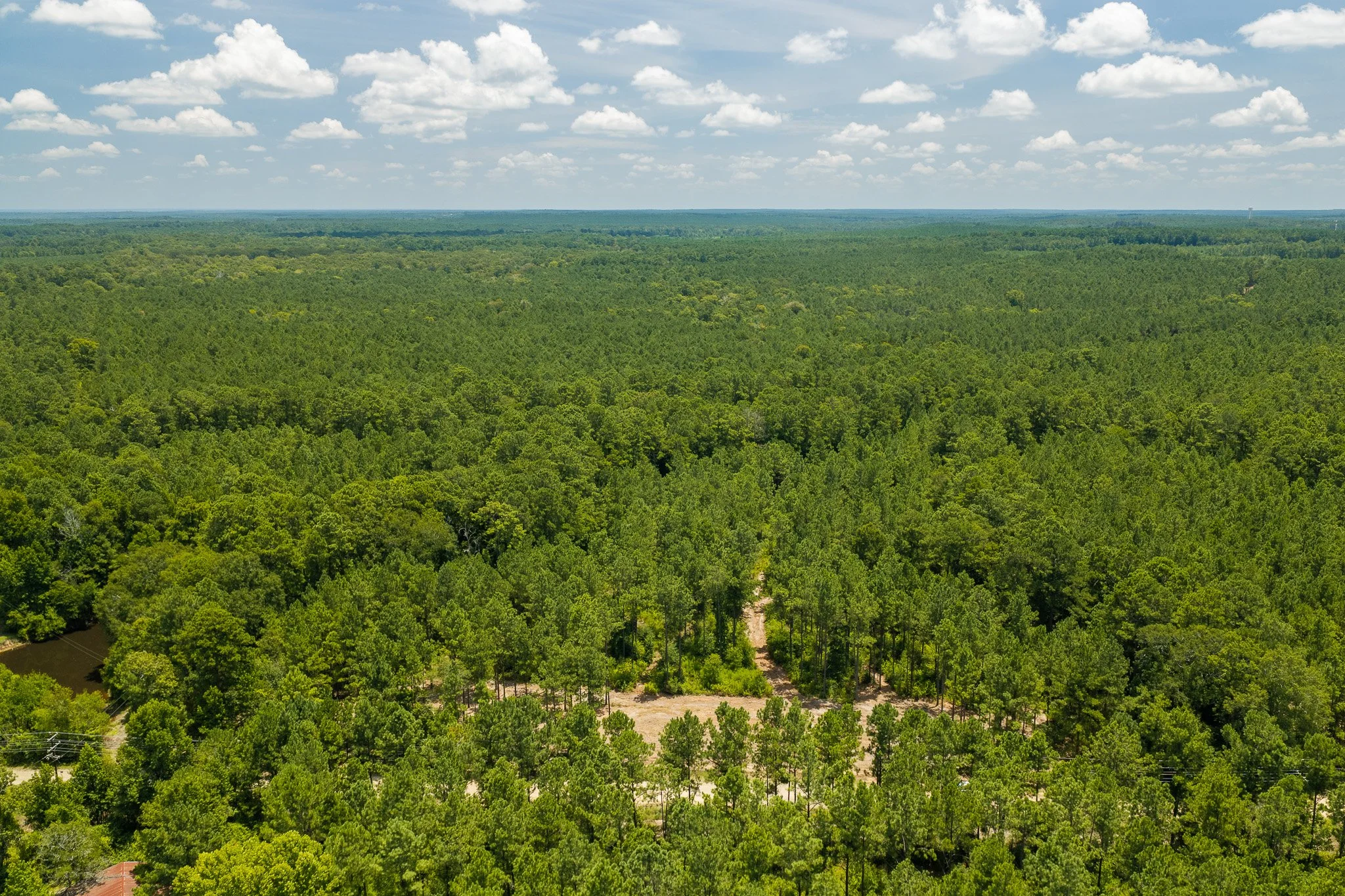 woodville-49.jpg