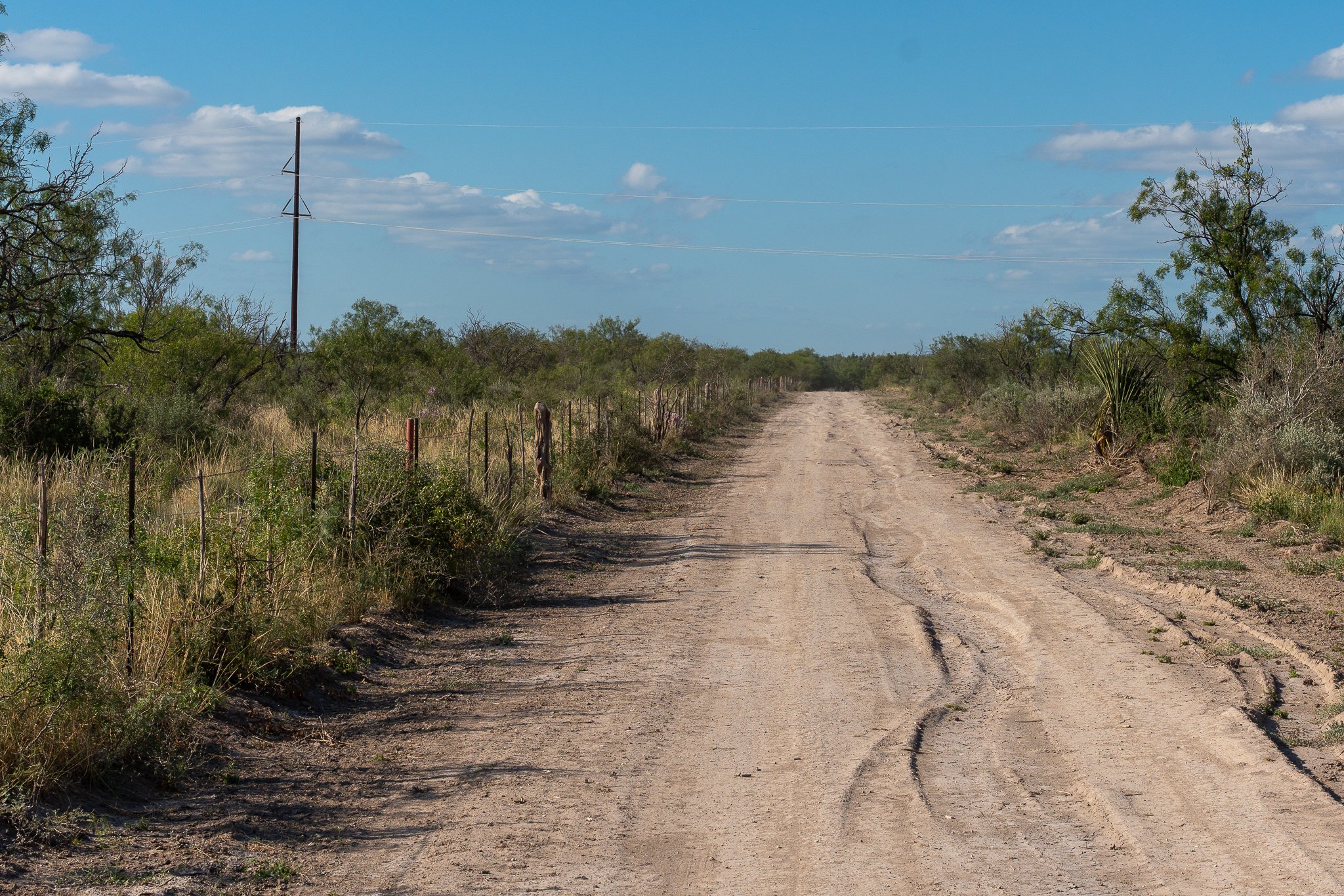 Blue_Rooster_Ranch-2.jpg