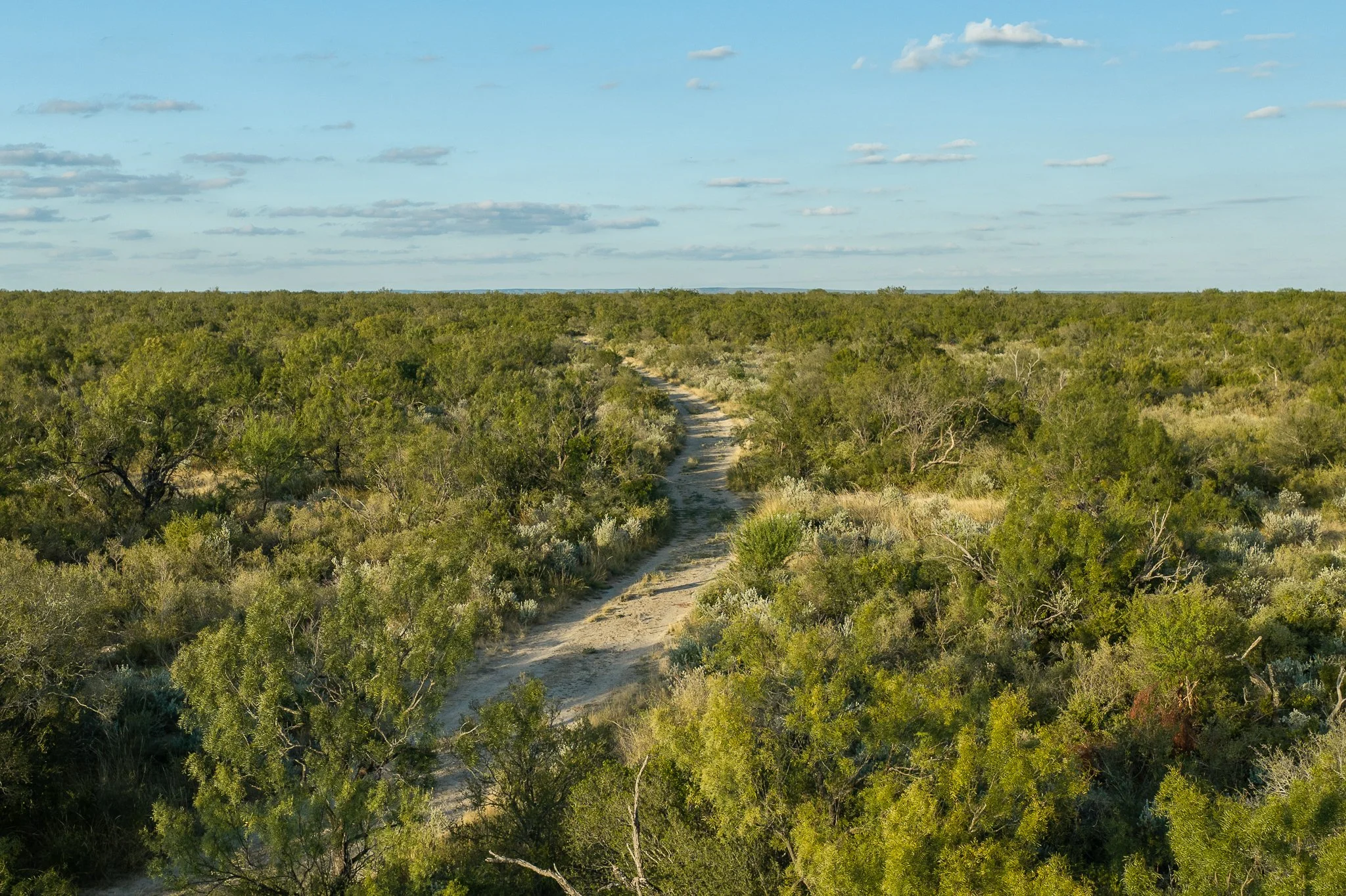 Blue_Rooster_Ranch-58.jpg