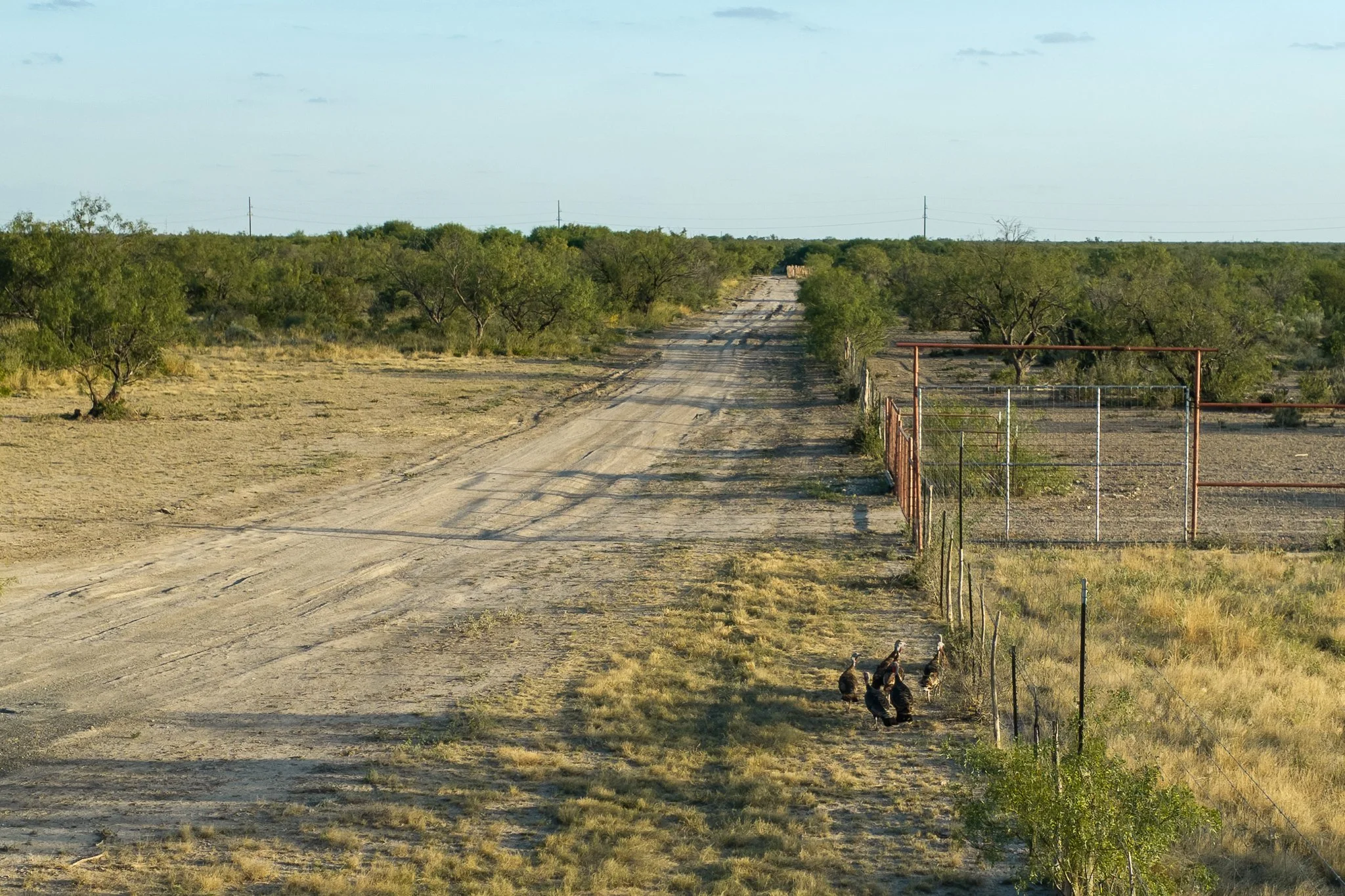 Blue_Rooster_Ranch-60.jpg