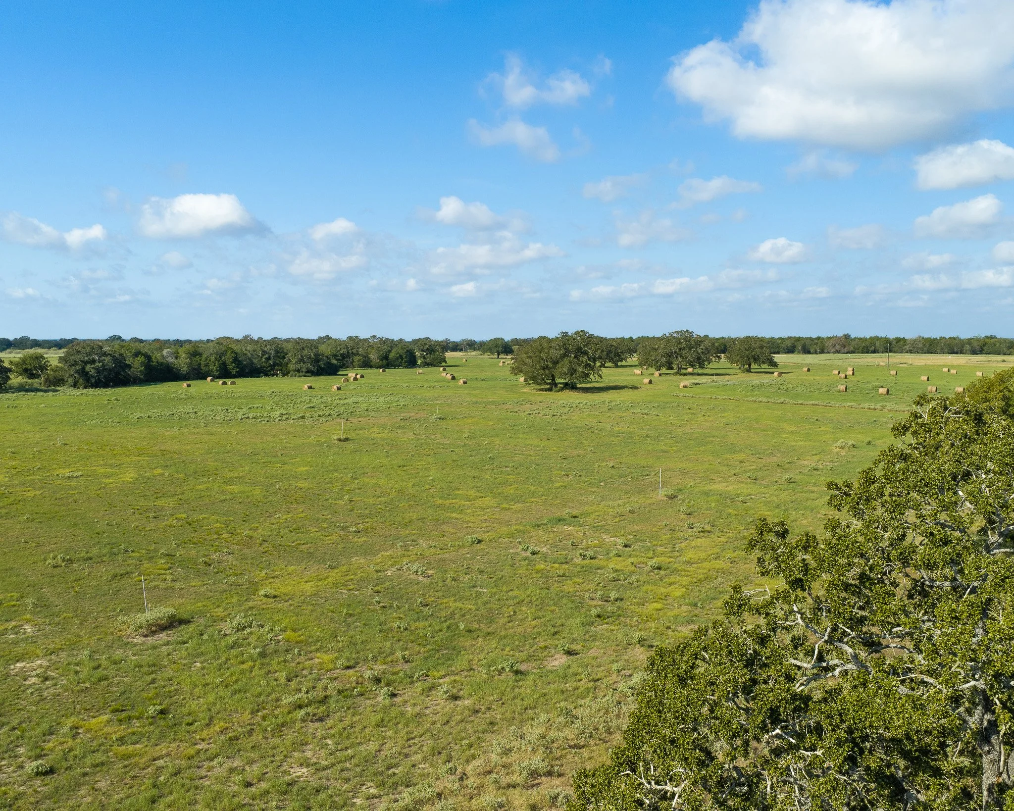 portrait-smithville-30.jpg
