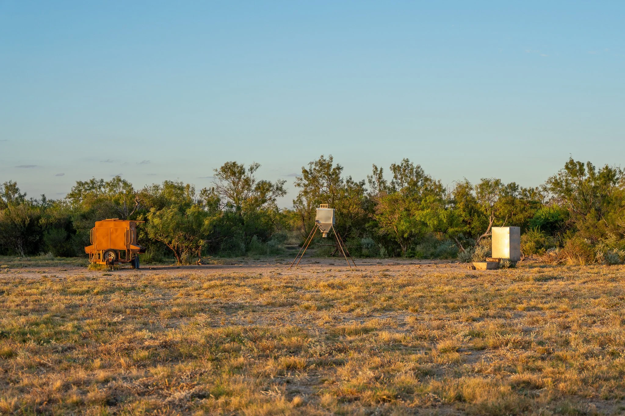 Blue_Rooster_Ranch-23.jpg