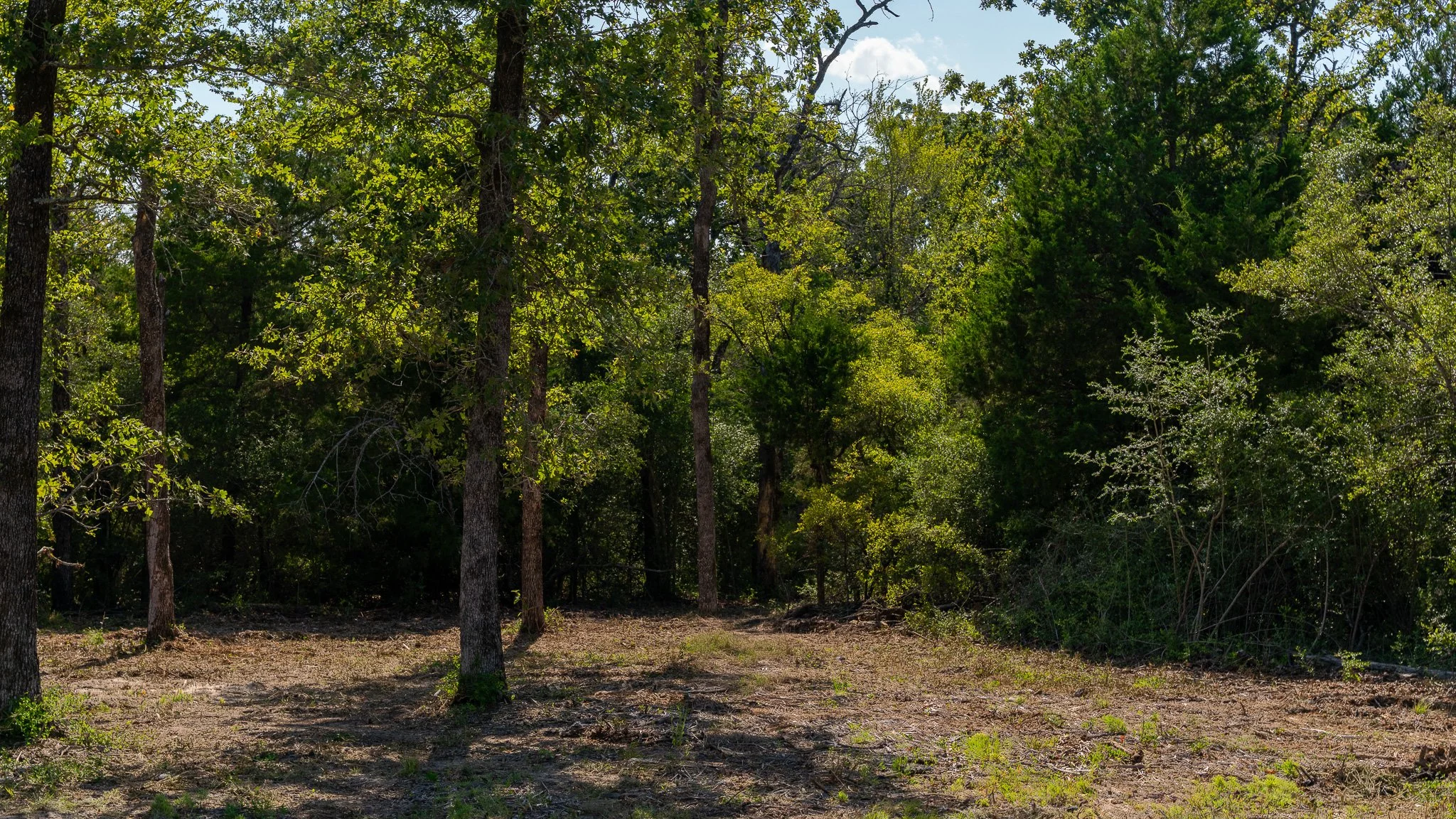 landscape-crestwood-32.jpg