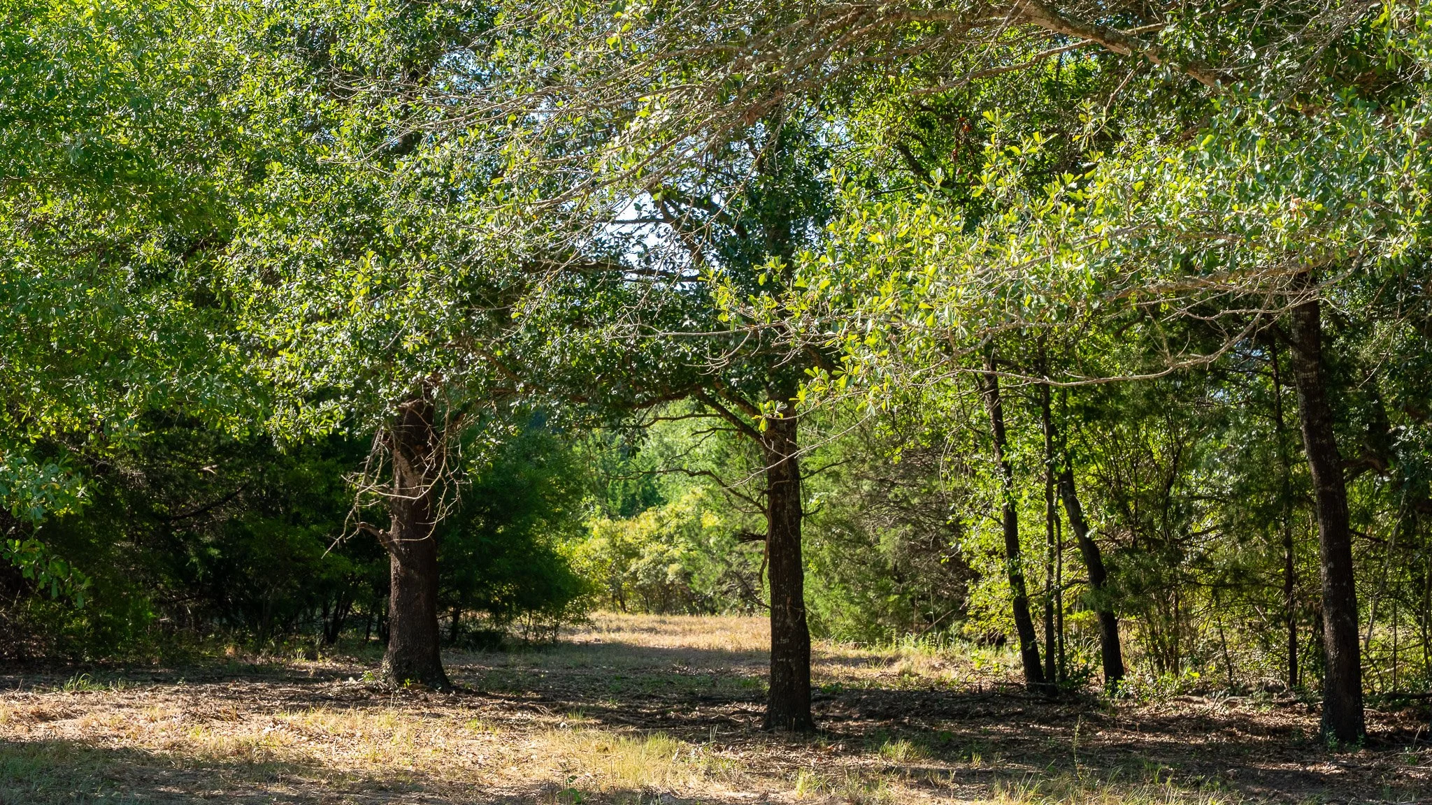 landscape-crestwood-51.jpg