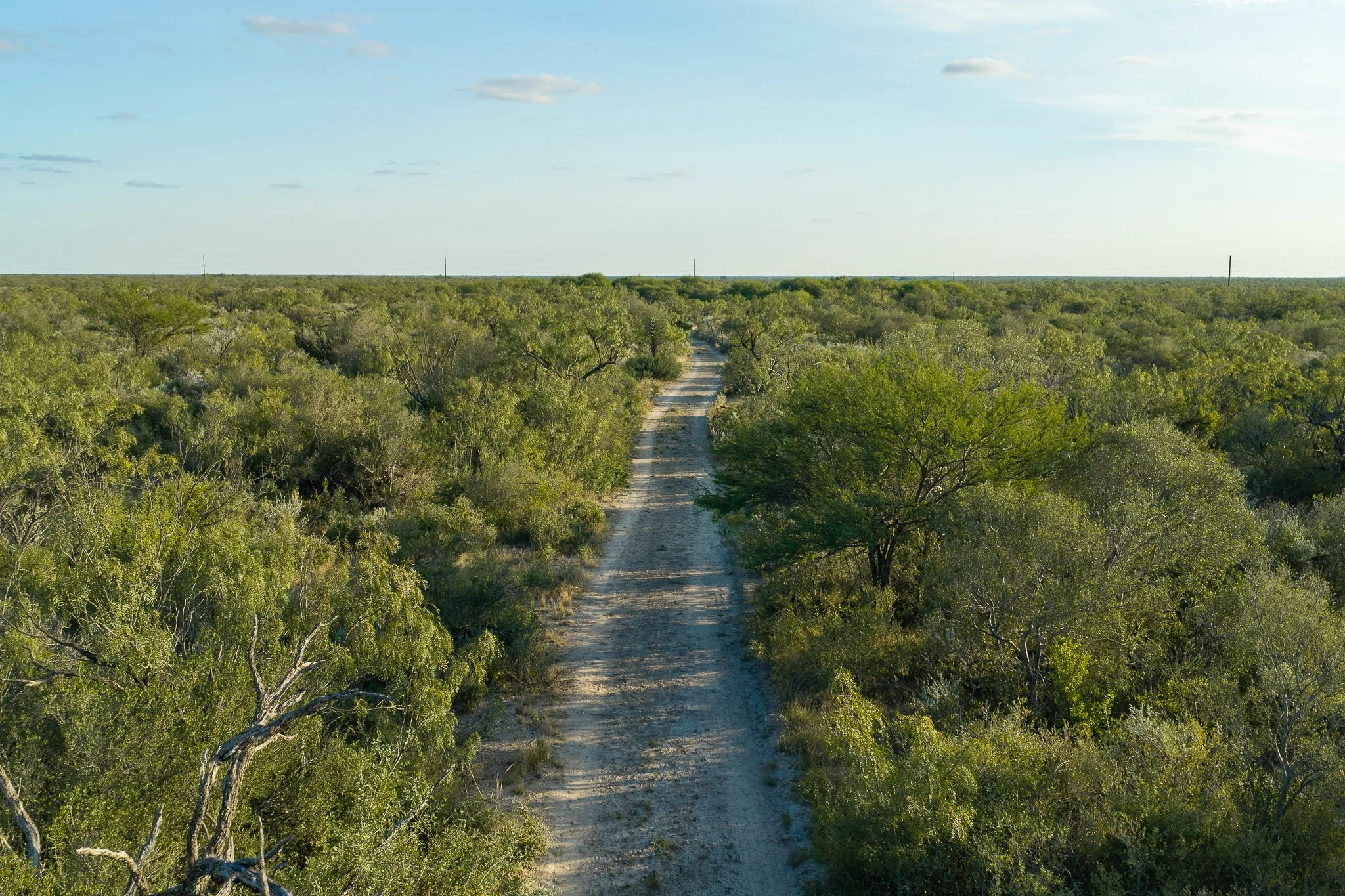 Blue_Rooster_Ranch-52.jpg