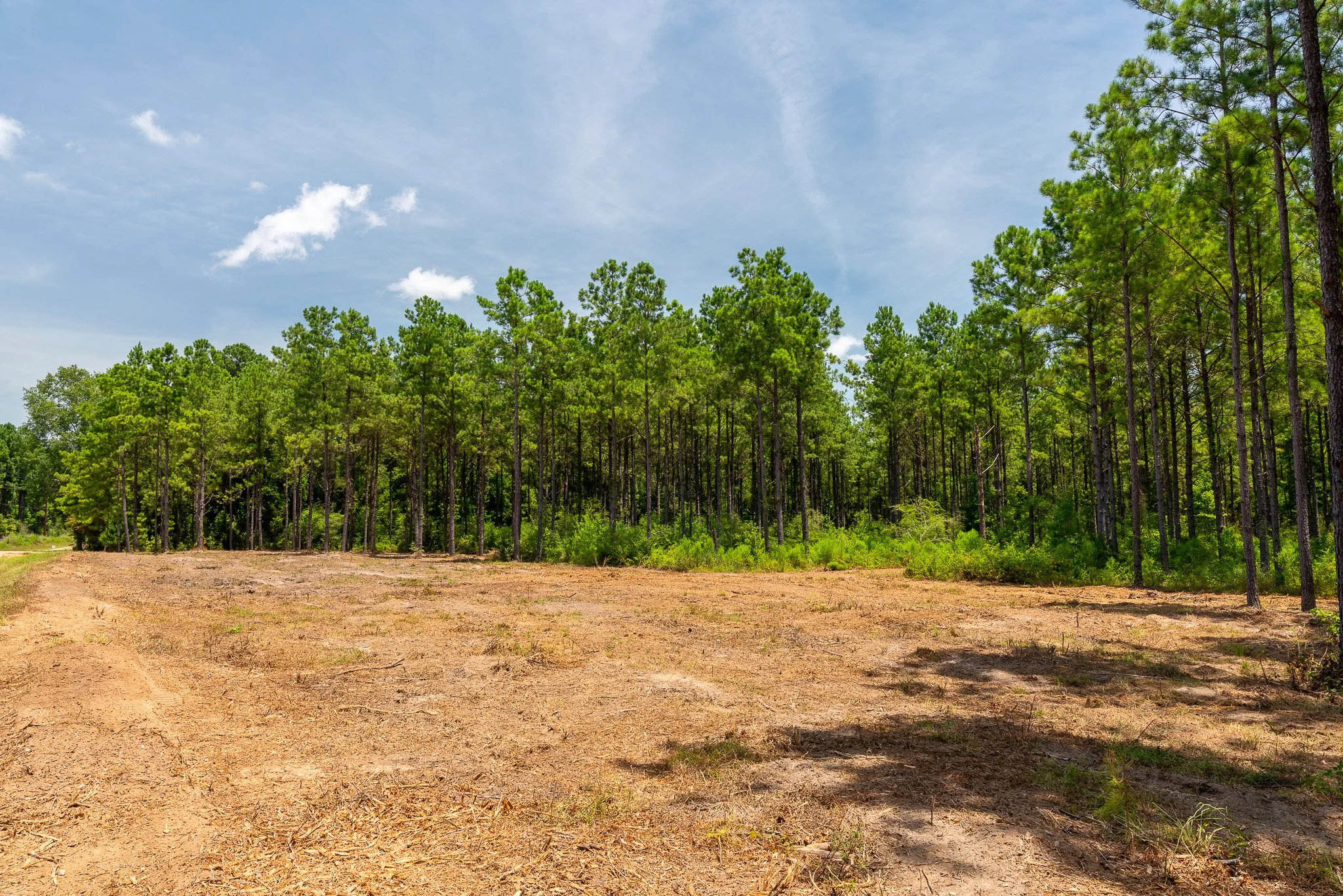 woodville-70.jpg