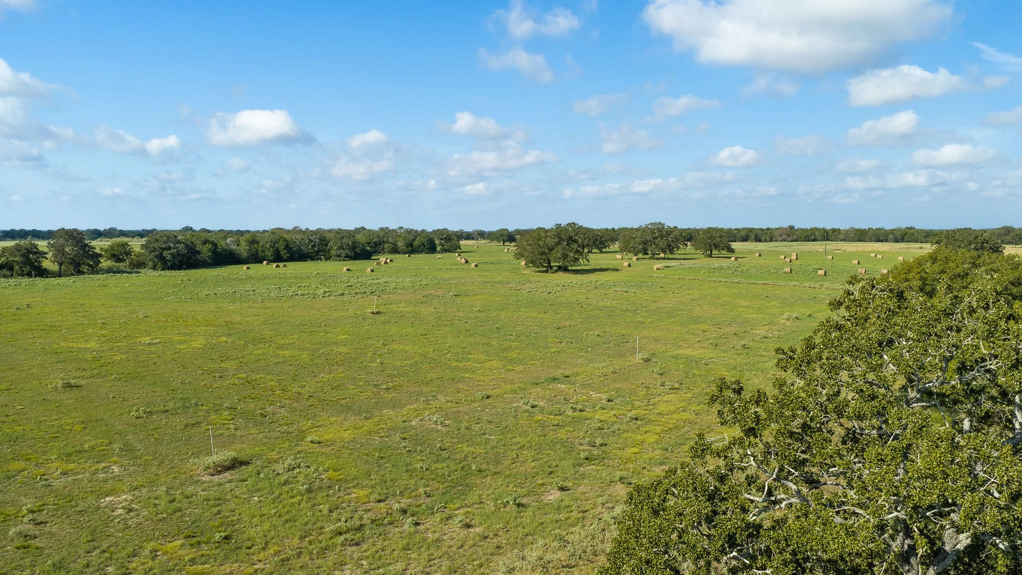landscape-smithville-30.jpg
