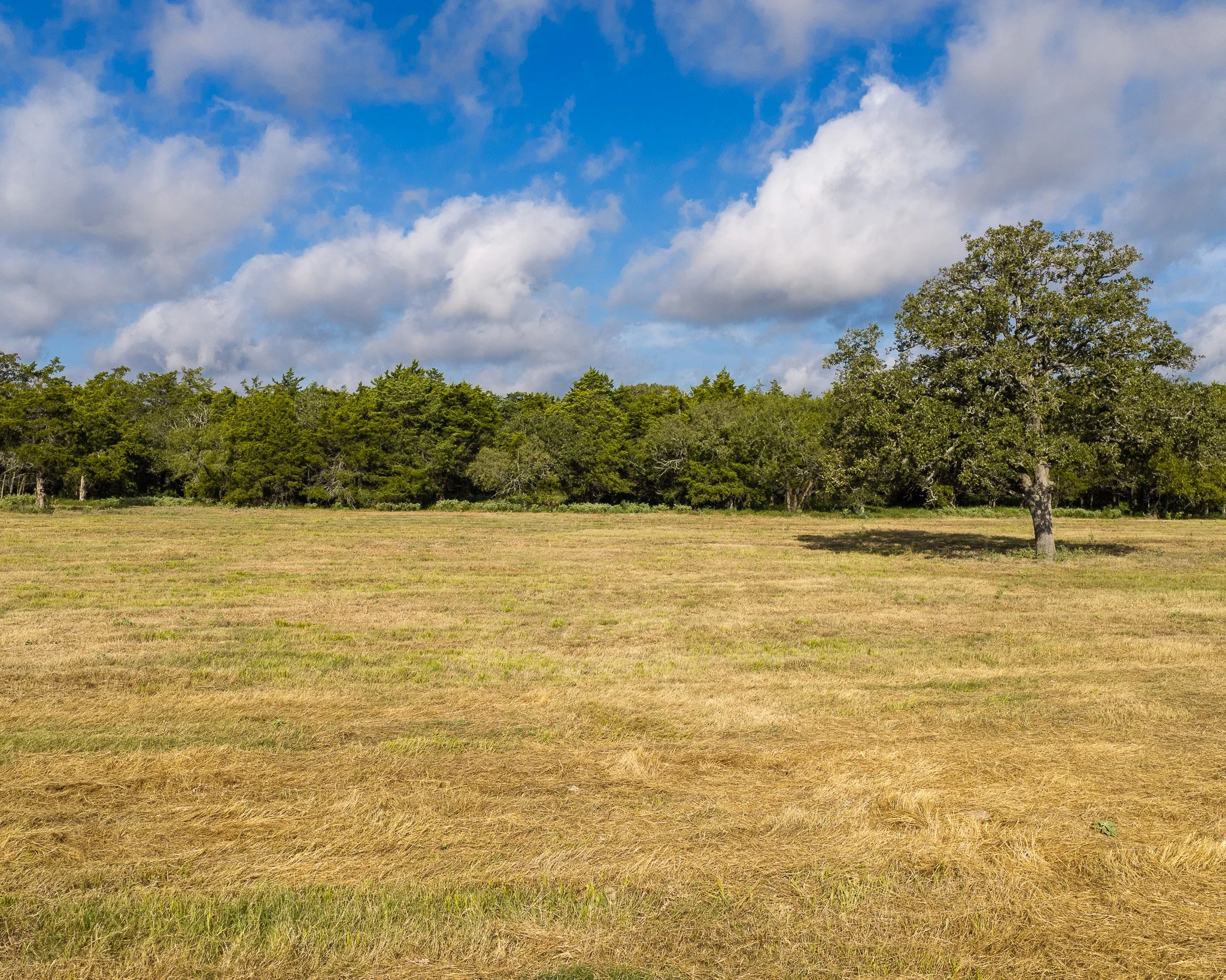 portrait-smithville-6.jpg