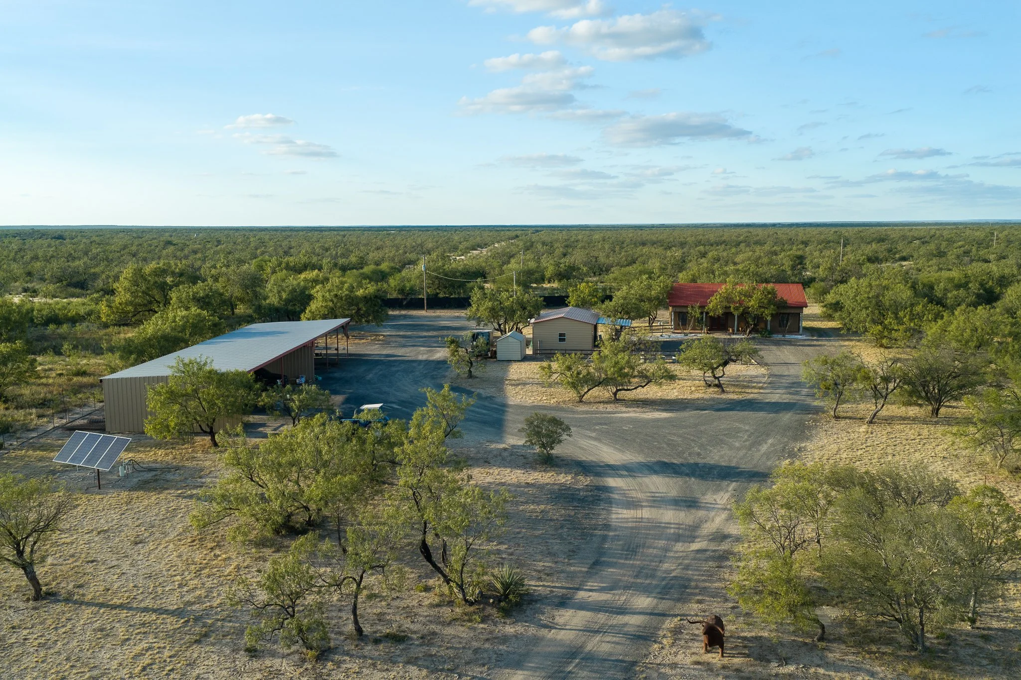 Blue_Rooster_Ranch-47.jpg