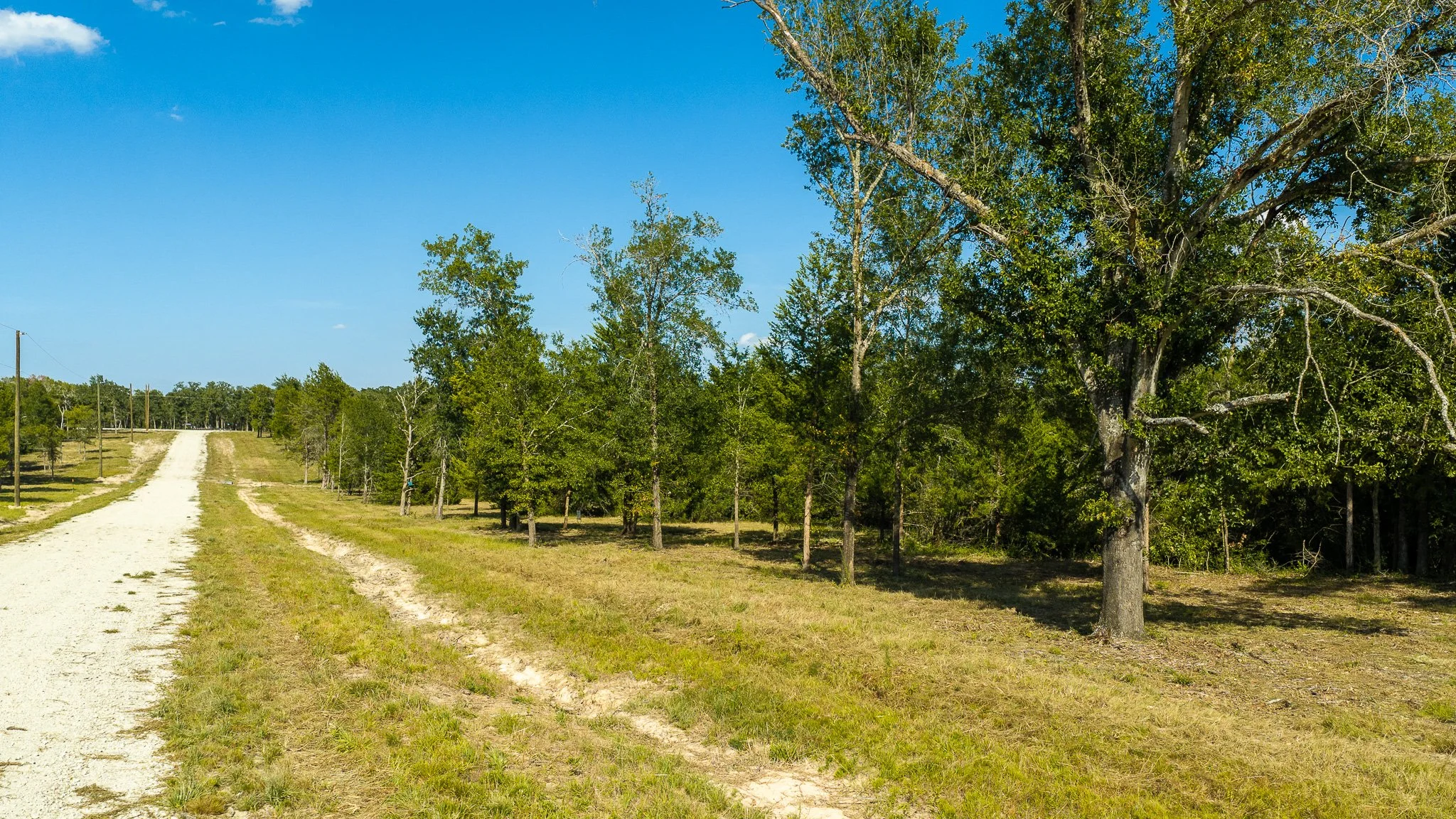landscape-crestwood-16.jpg